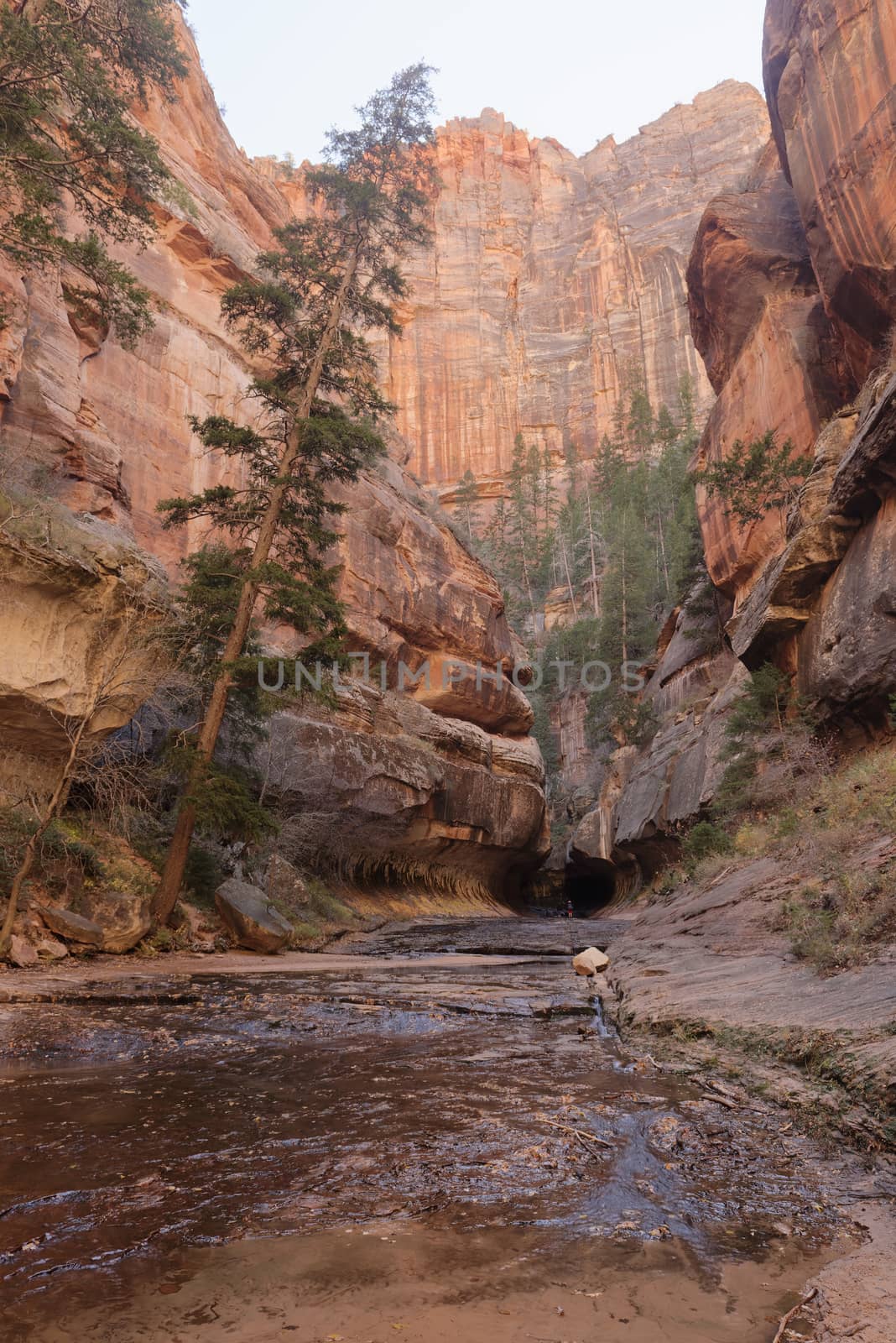 The dark entrance to the famous Subway, a famous slot canyon in the Left Fork North Creek, Zion National Park.