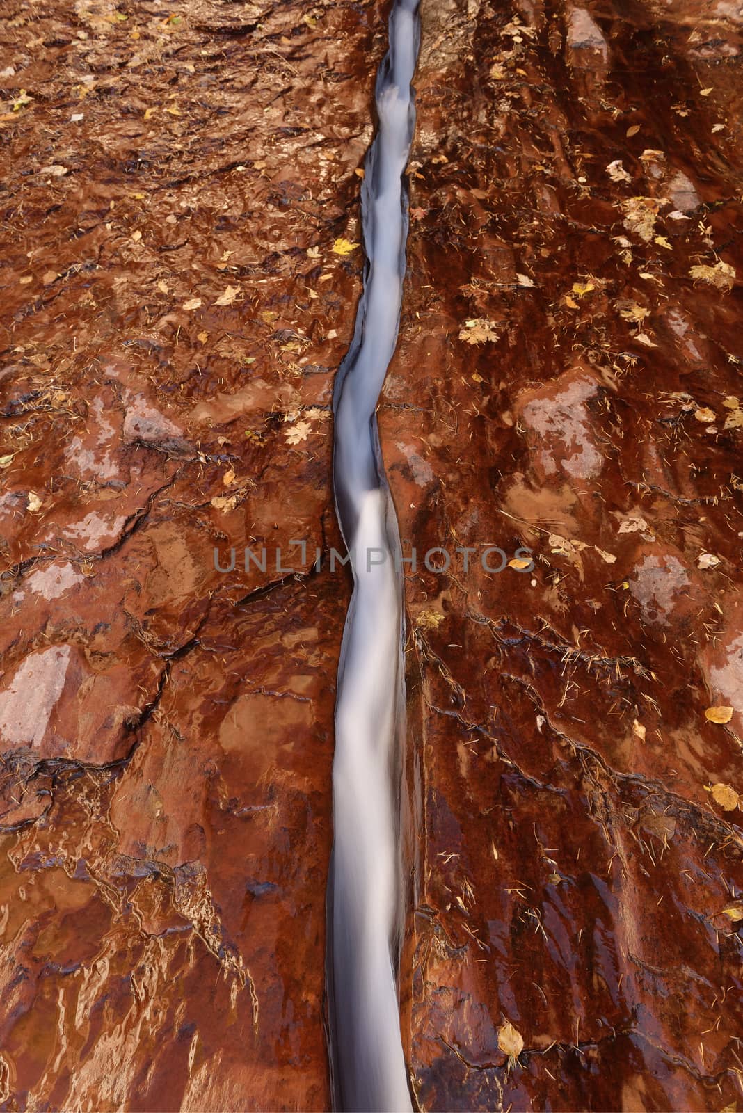 Water has cut a narrow channel in the red bedrock of the Left Fork North Creek, Zion National Park.