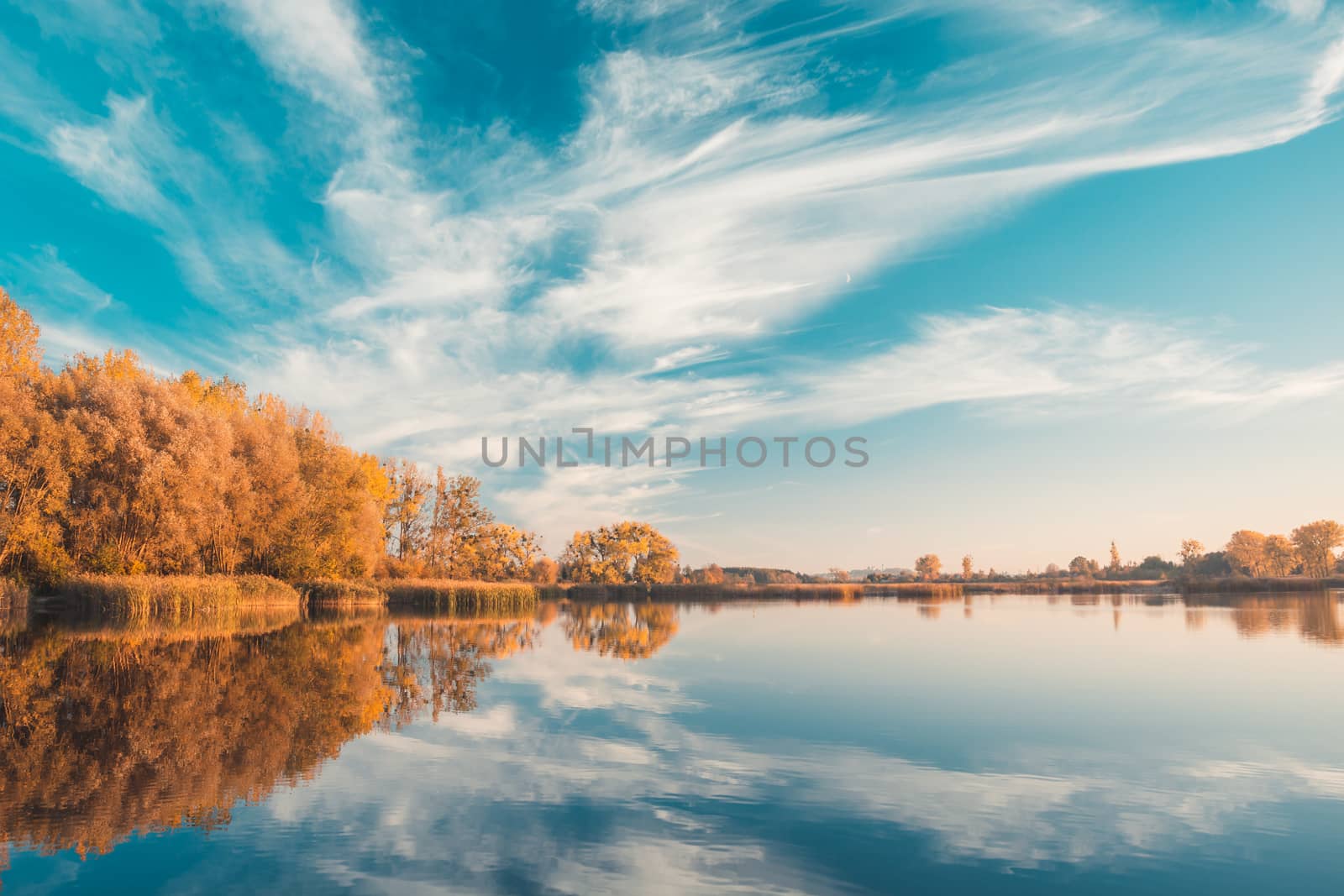 White clouds and reflection in the lake, and autumn orange trees