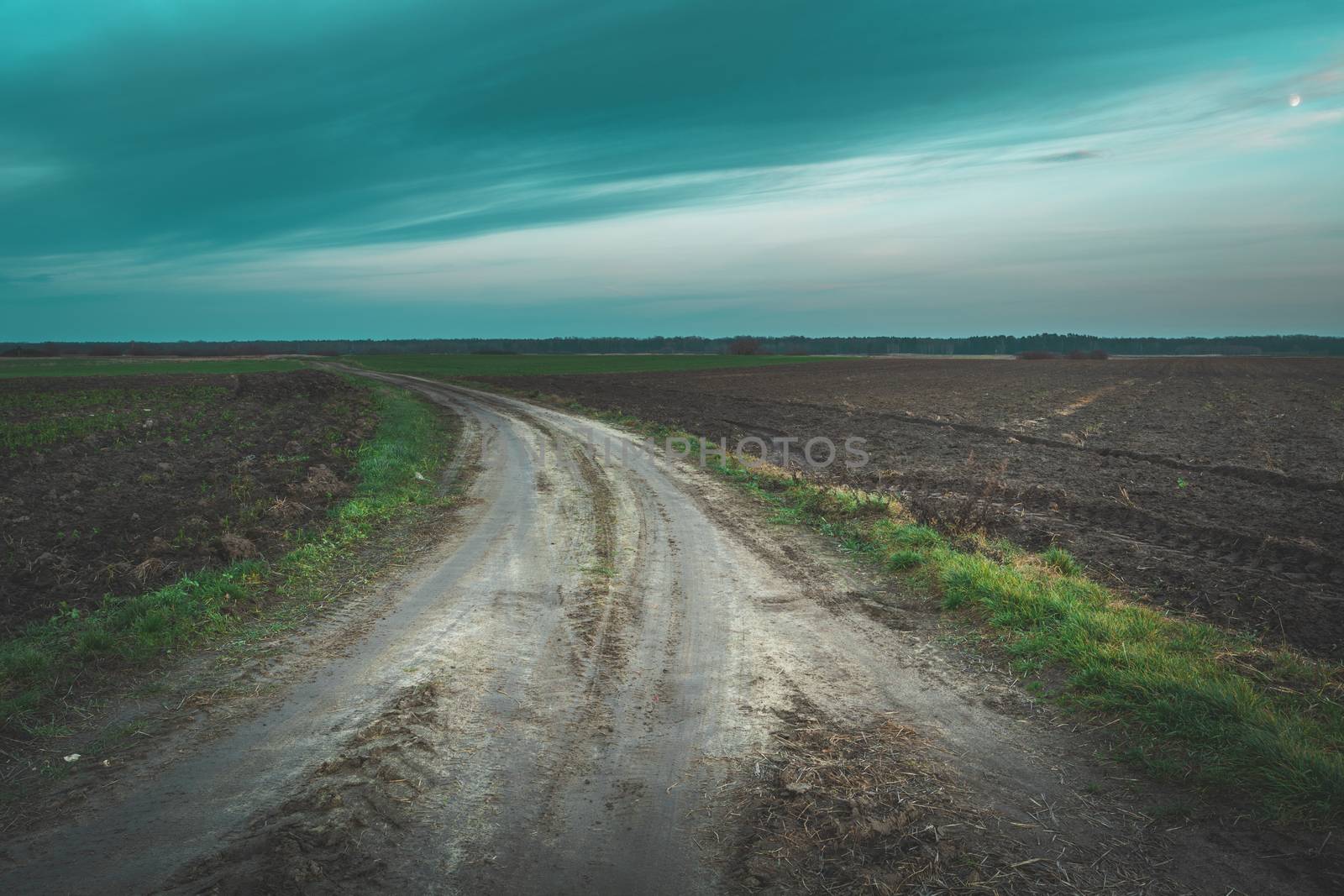 Dirt road fork, plowed fields and blue clouds, autumn view