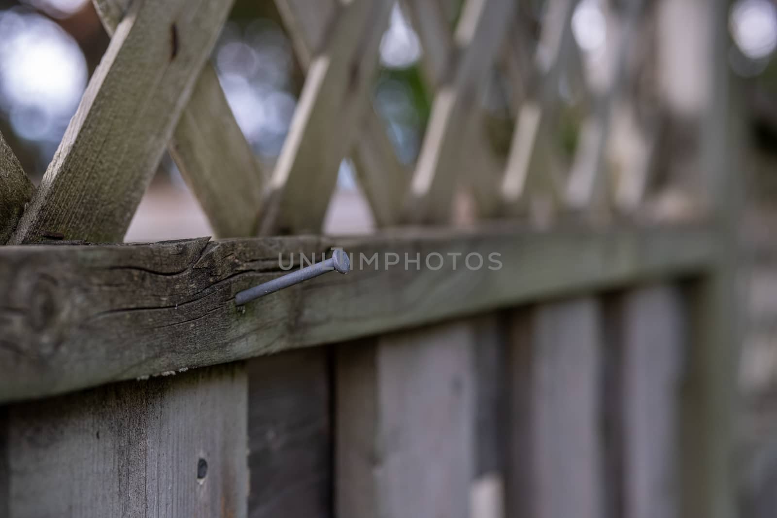 An iron nail sticks out of a piece of wood at the top of a cedar wooden fence. A shallow depth of field shows most of the fence as a background blur.