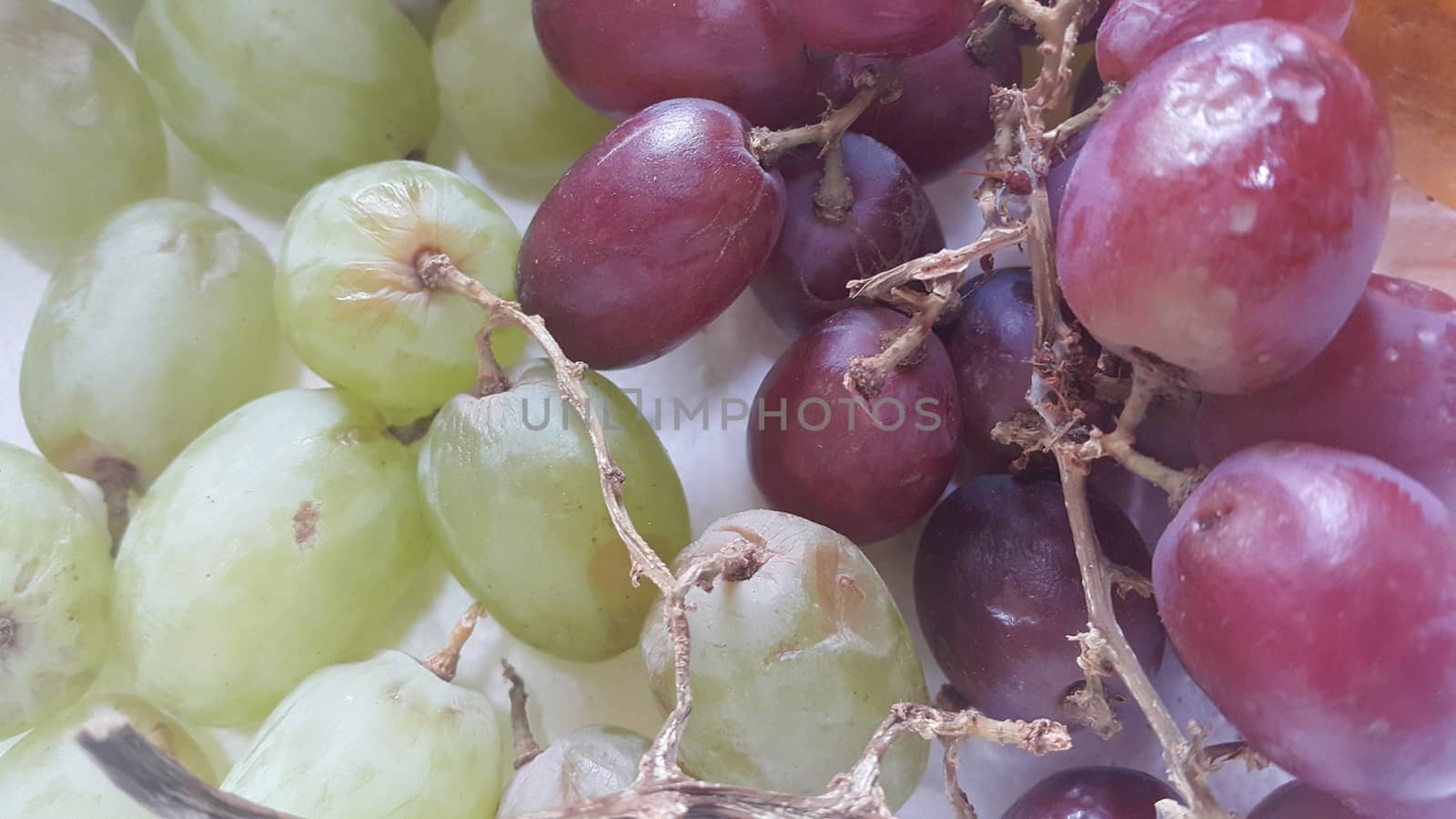 A close up view of green and purple grapes in bunches. Sweet, juicy and tasty grapes a natural fruit for vegeterians and used for in wine making.