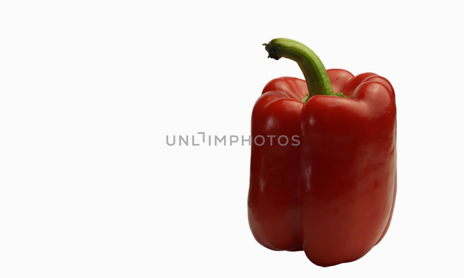Red chili isolated on white background with space to place text by noppha80