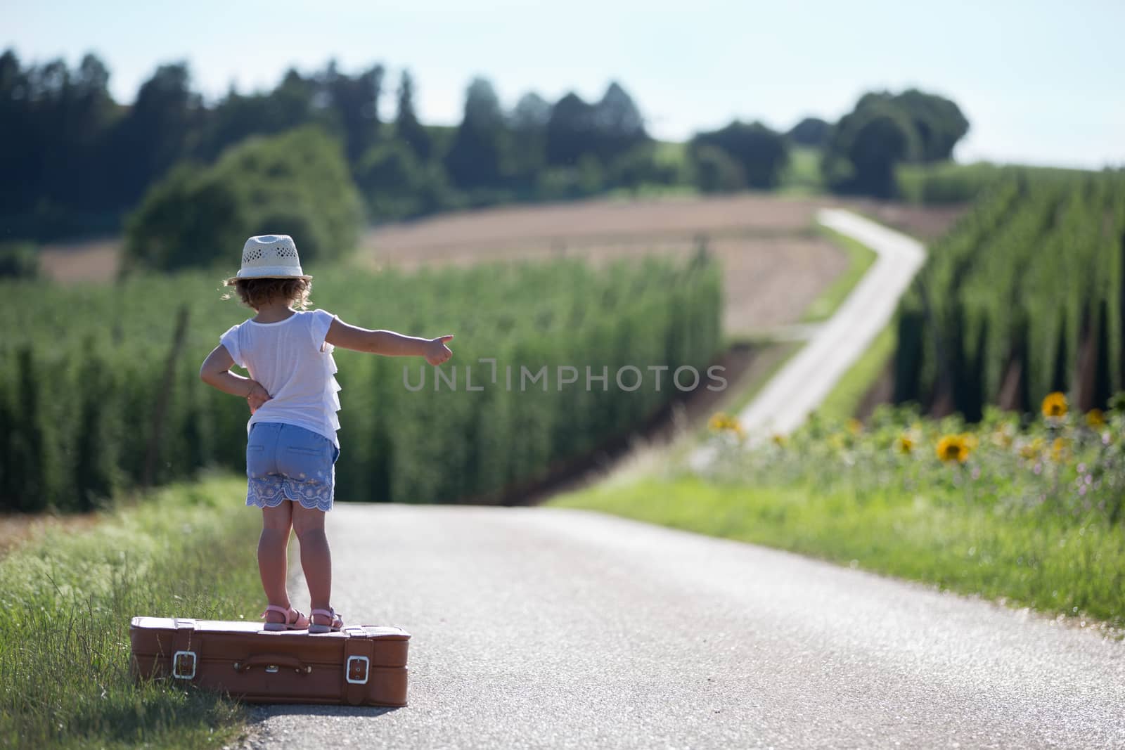 One little girl with a suitcase on a road between two fields