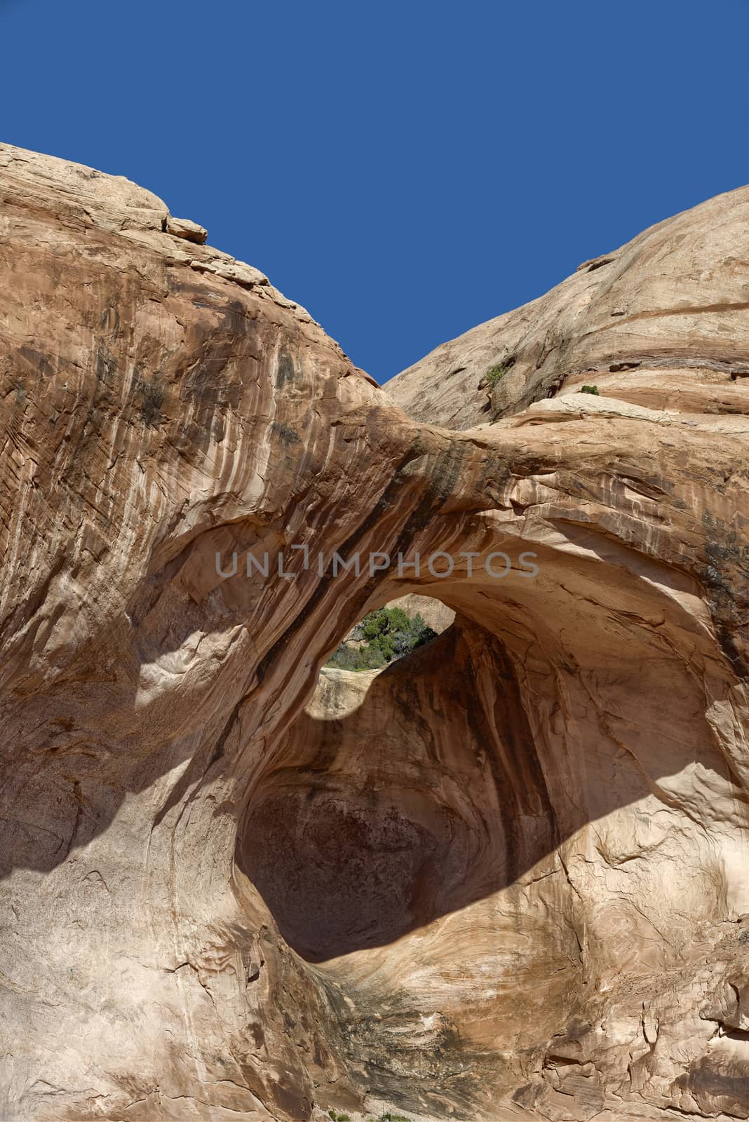 Bowtie Arch, Utah by emiddelkoop