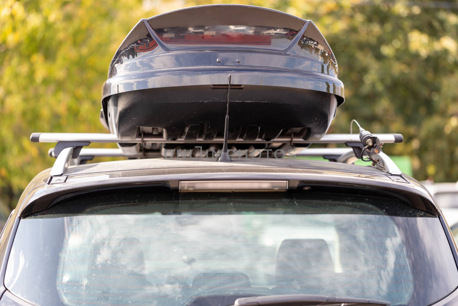 Assembled and closed, roomy roof rack or roof box against a blurred background of green leaves. Back view. by bonilook