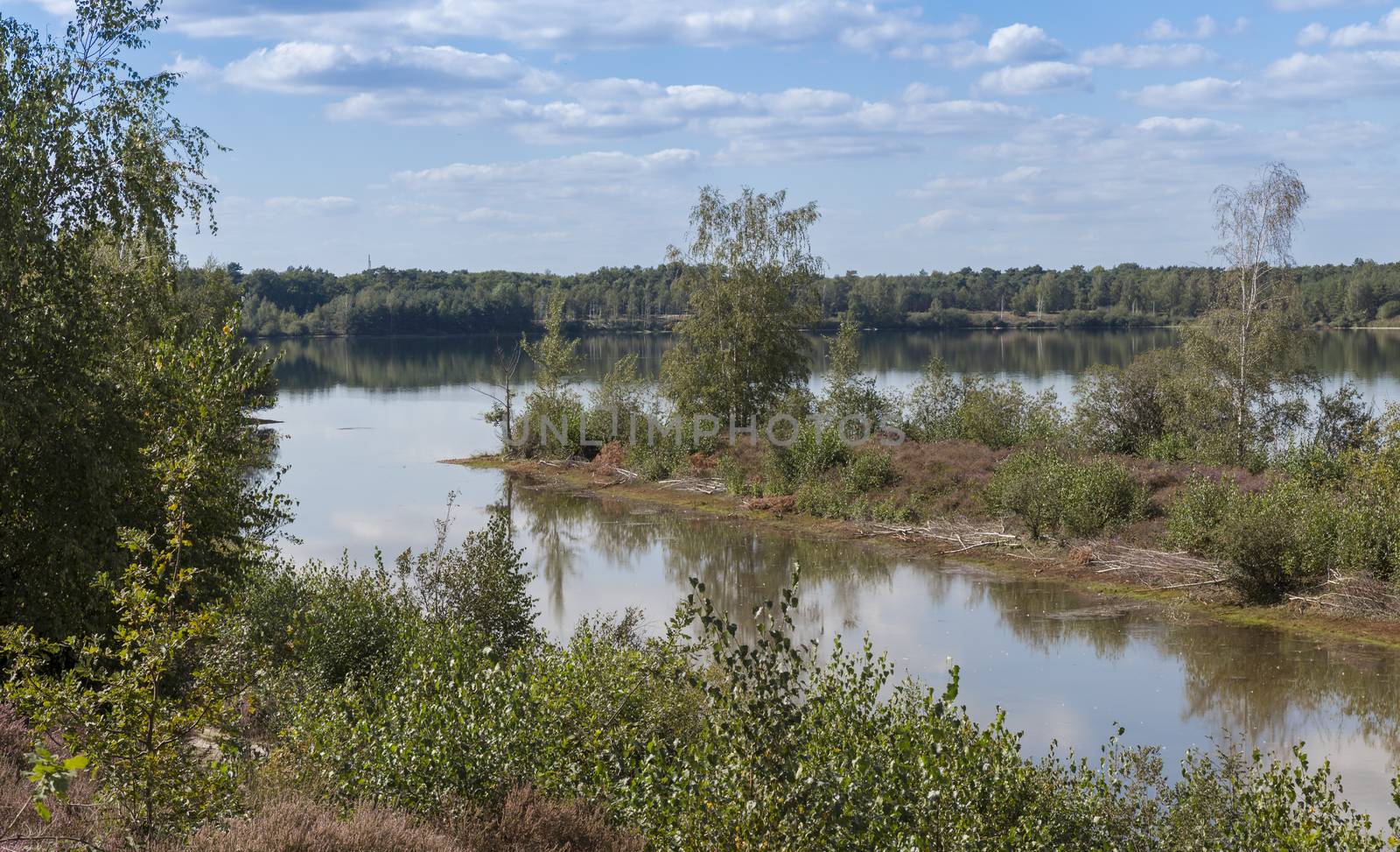 Lake Reindersmeer in De Maasduinen National Park, Limburg, Netherlands