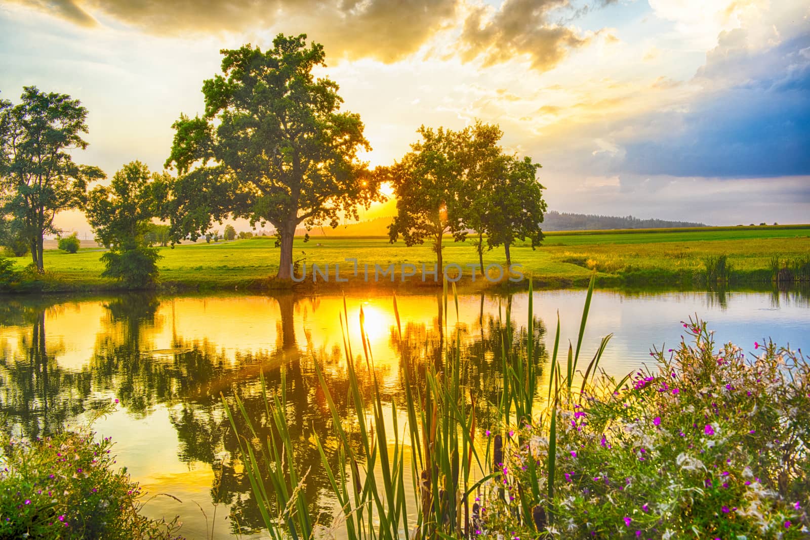 Vivid dramatic sunset reflecting in the pond. Setting sun shines through the trees. Czech Republic