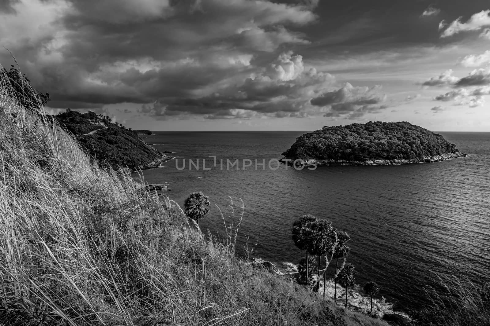 Seascape landscape nature with blue sky and cloud in evening light, Phuket Thailand, Black and white and monochrome style