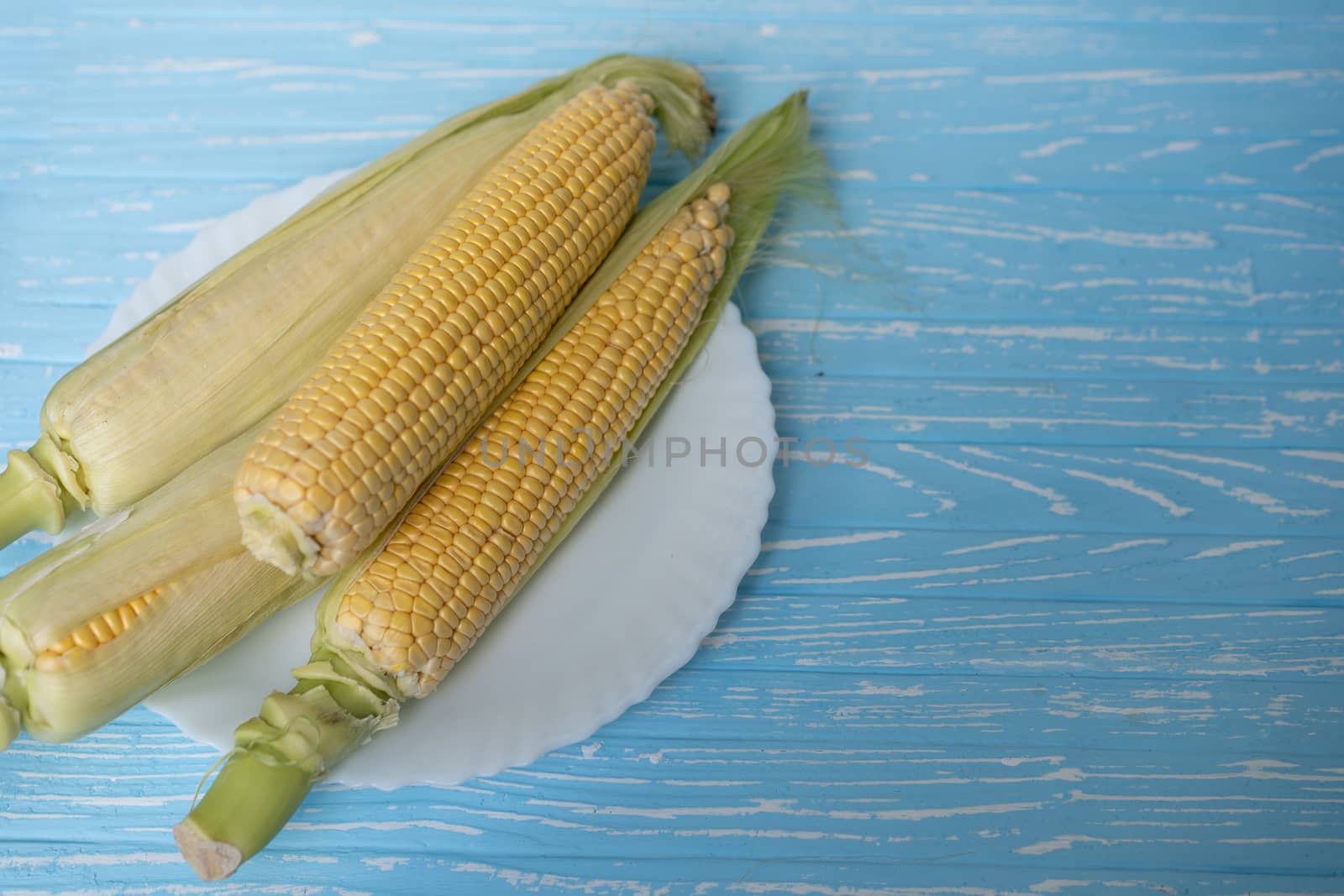 Corn cob with green leaves lies on white ceramic plate blue color background. Copy space for text.