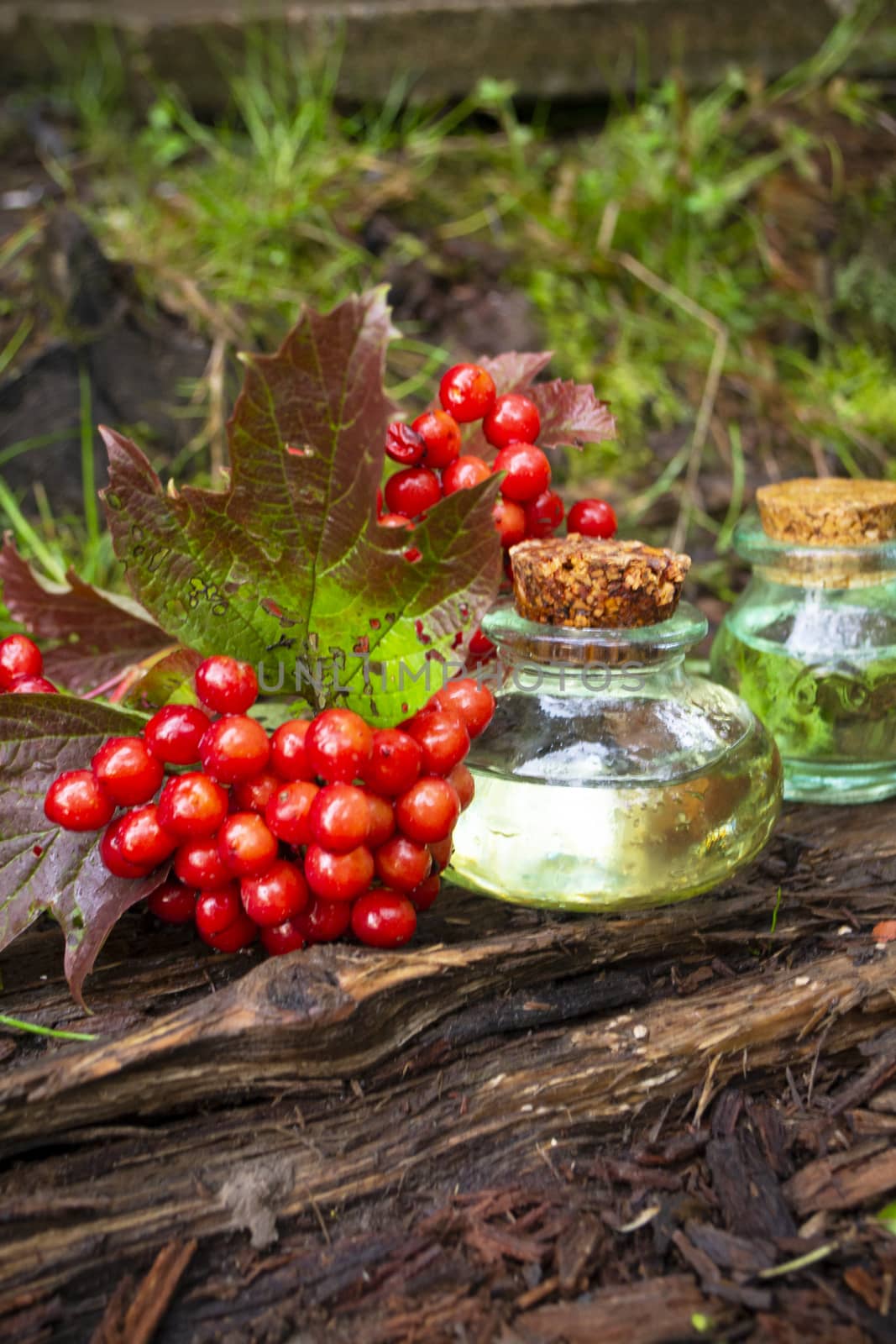 Essence natural oil of Viburnum, alternative medicine, natural background, vertical image