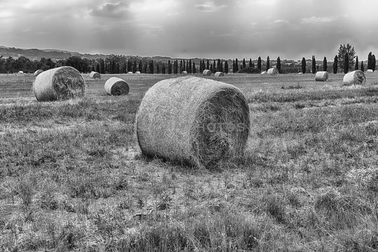 Hay bales on the field after harvest, countryside landscape in Italy