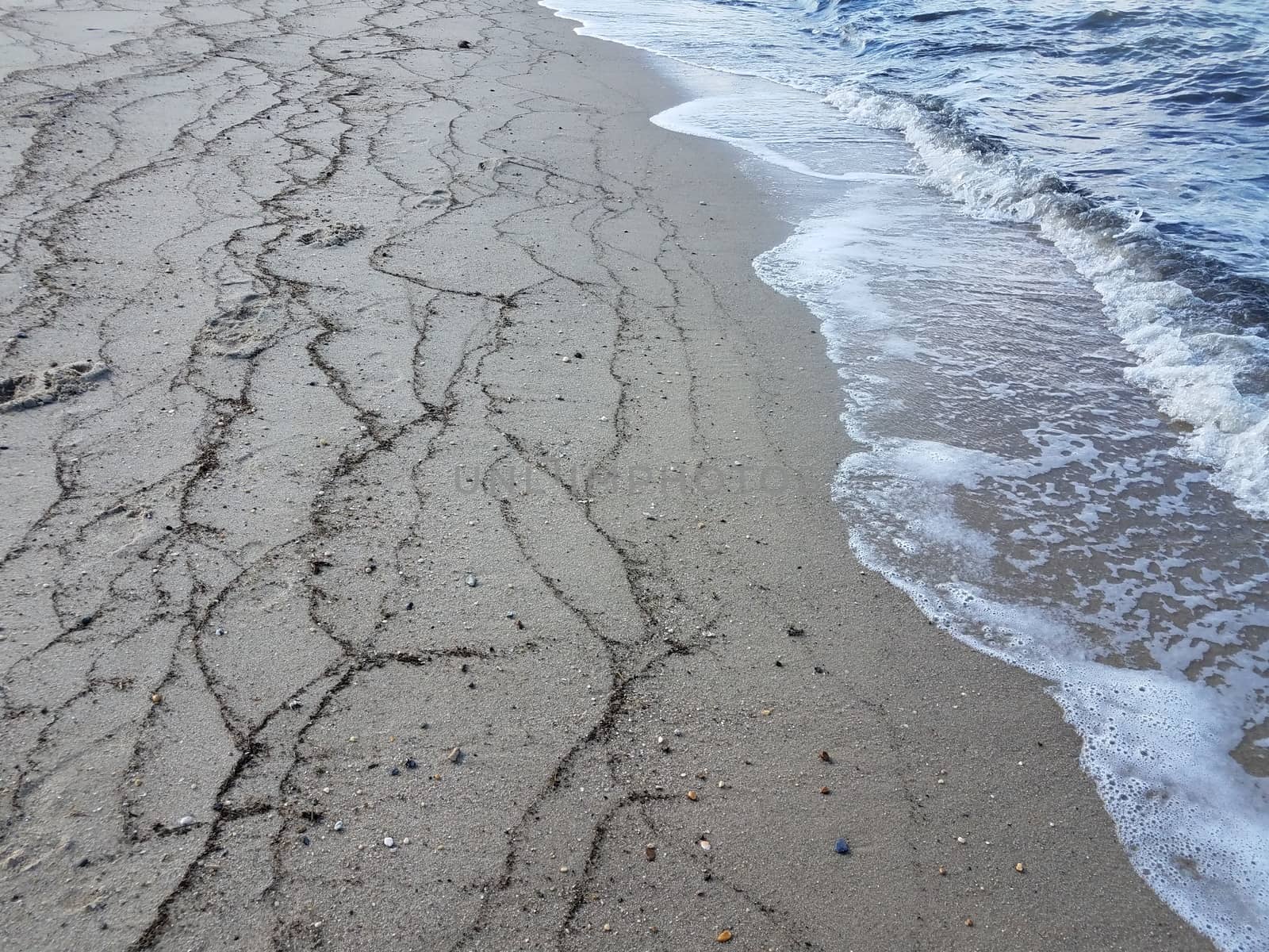 lines of seaweed on the beach with sand and water