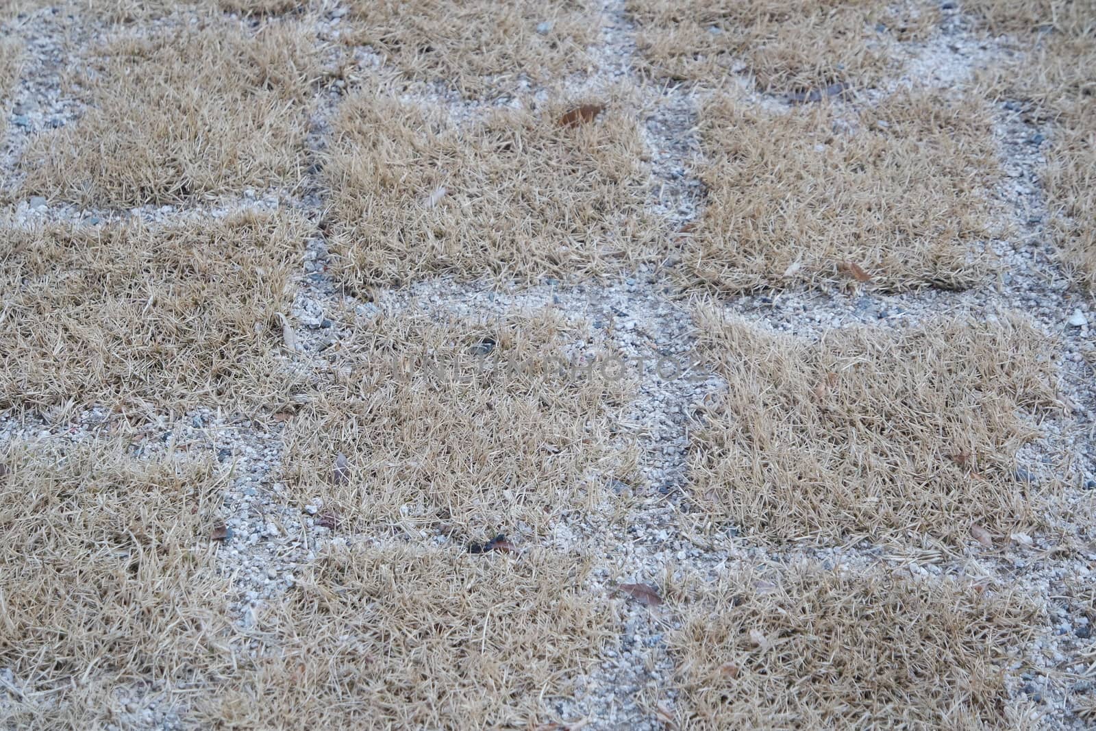 Closeup texture of brick floor. A background of a weathered old exterior brick floor with copy space for text