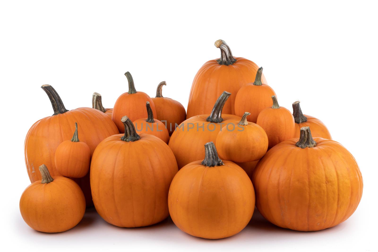 Many orange pumpkins isolated by Yellowj