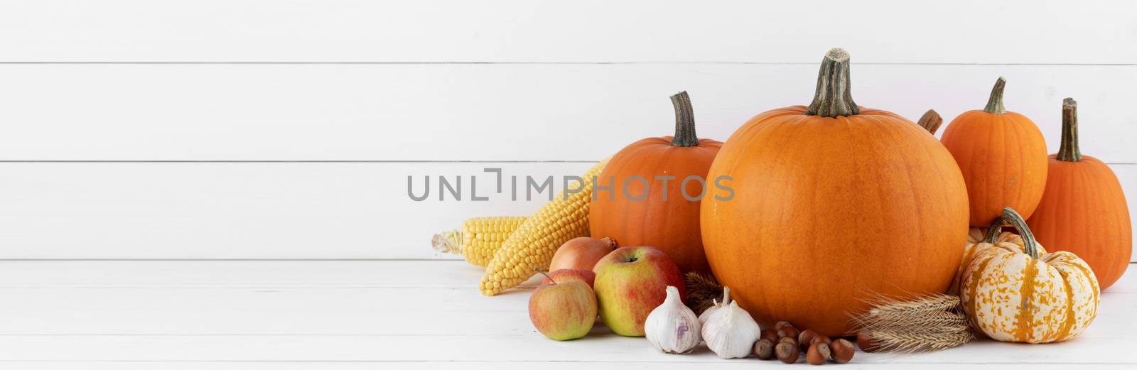 Autumn harvest still life with pumpkins, wheat ears, corn, garlic, onion and apples on wooden background
