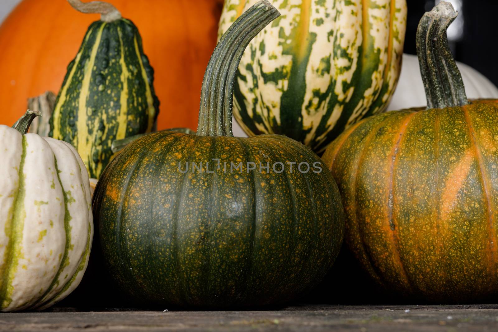 Assortiment of pumpkins background by Yellowj