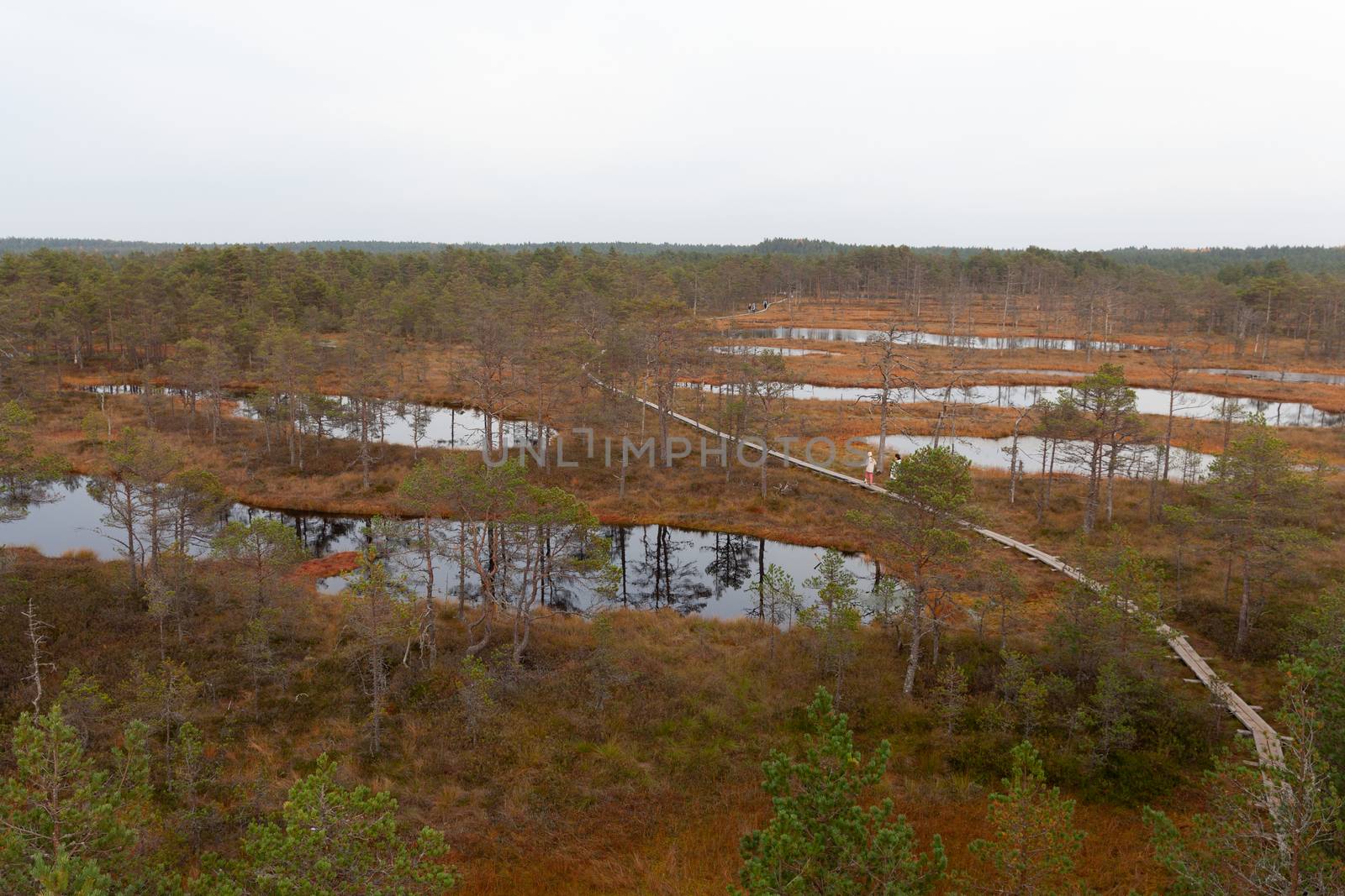 Aerial view of Viru Raba, Lehemaa National Park, Estonia