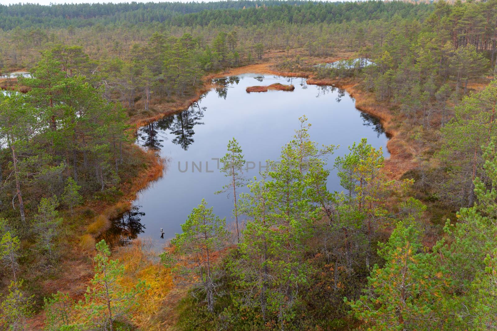 Aerial view of Viru Raba, Lehemaa National Park, Estonia