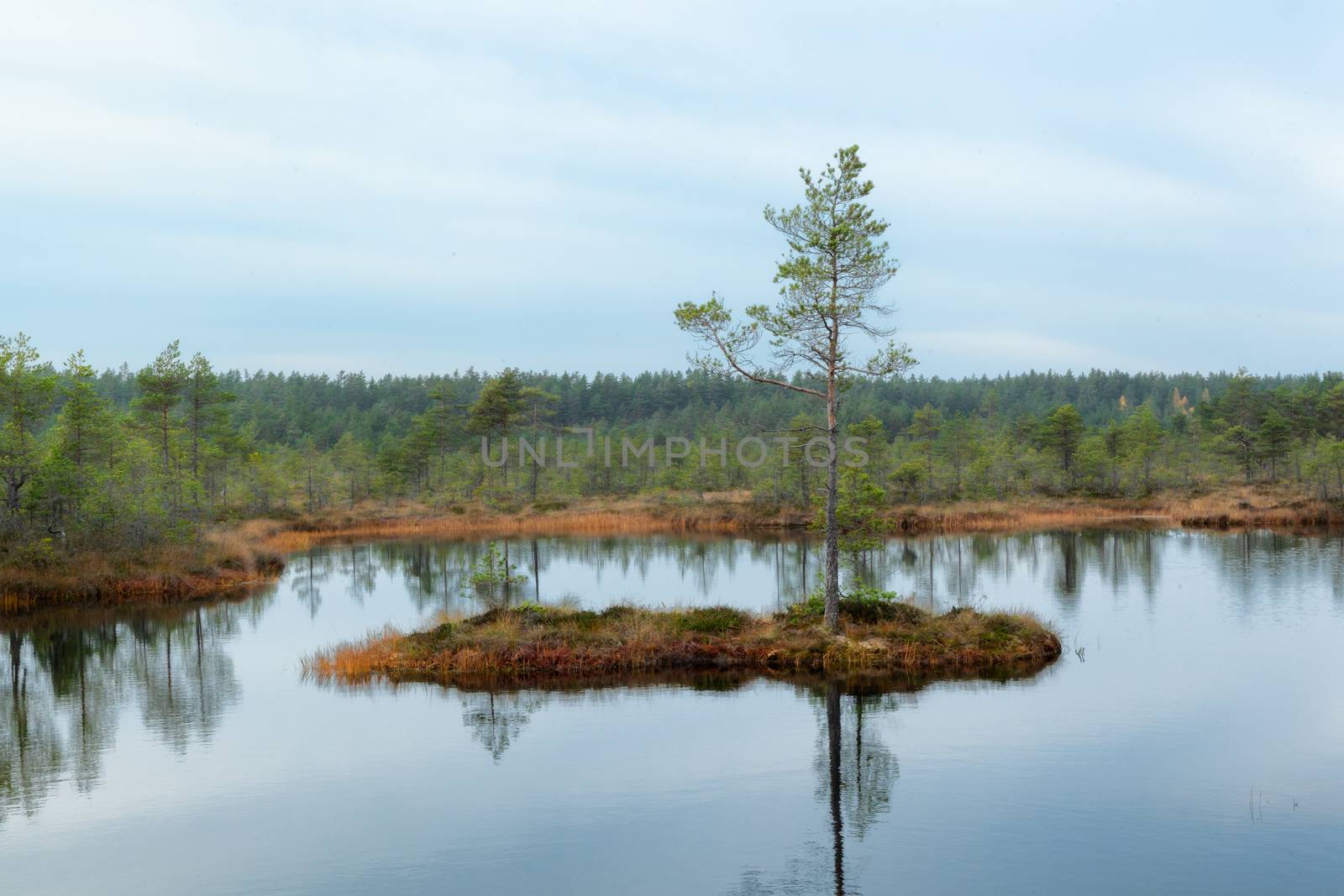 Viru Raba, Lehemaa National Park, Estonia by vlad-m