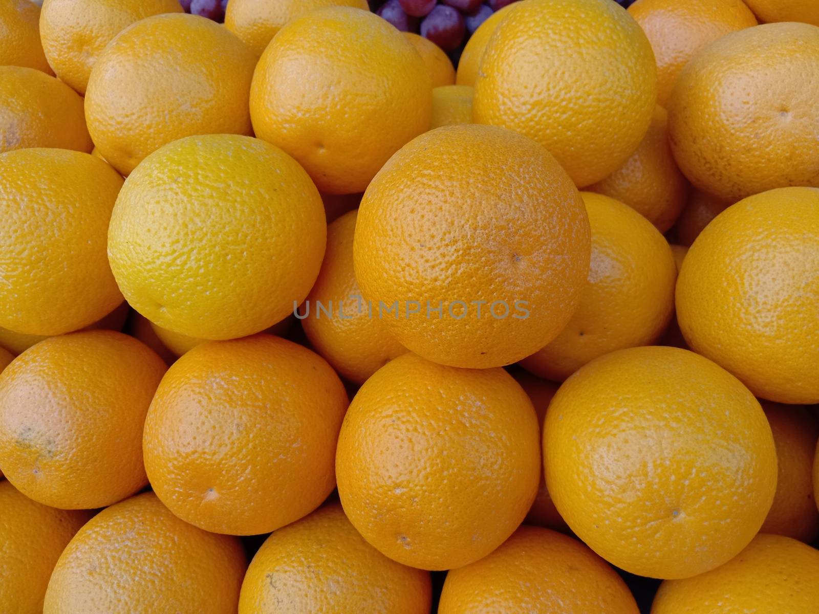 fresh healthy and tasty orange stock on shop