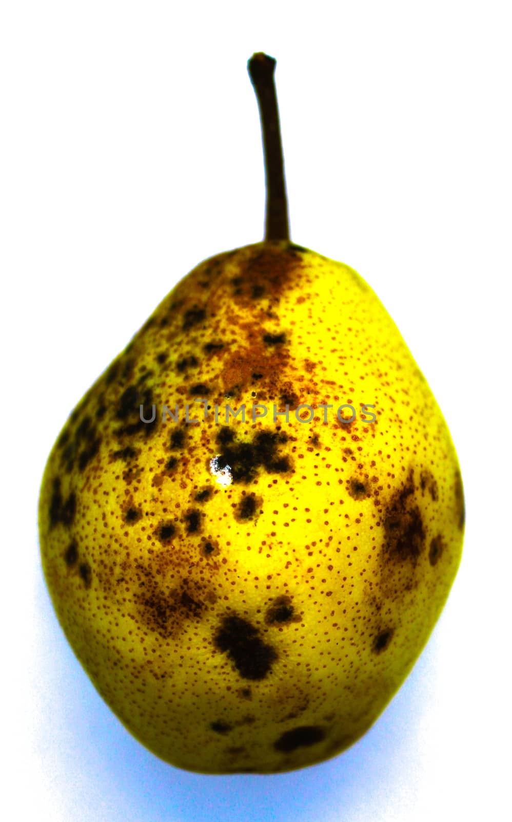 Beautiful yellow pear on white background. Yellow pear with black dots isolated on white background.