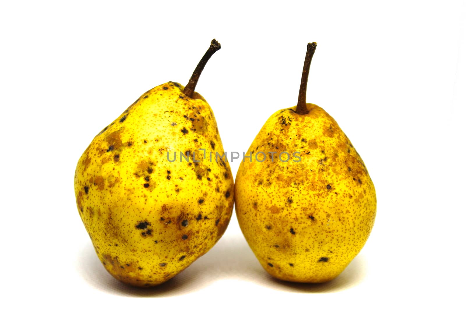 Two beautiful yellow pears on a white background. Two yellow pears with black dots isolated on white background.