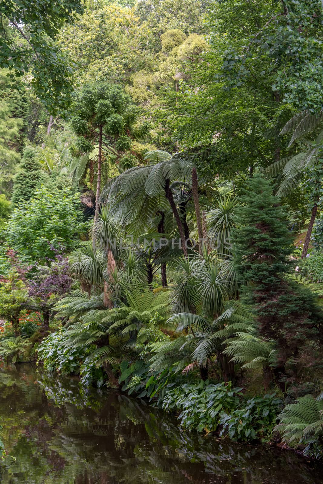 Walk on the Azores archipelago. Discovery of the island of Sao Miguel, Azores. Portugal. Furnas