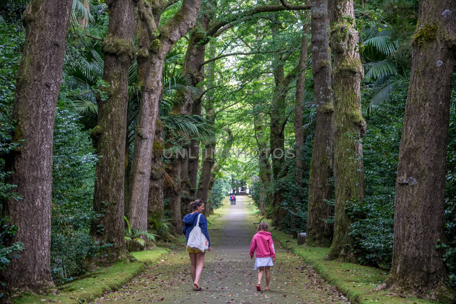 Walk on the Azores archipelago. Discovery of the island of Sao Miguel, Azores. Portugal. Furnas