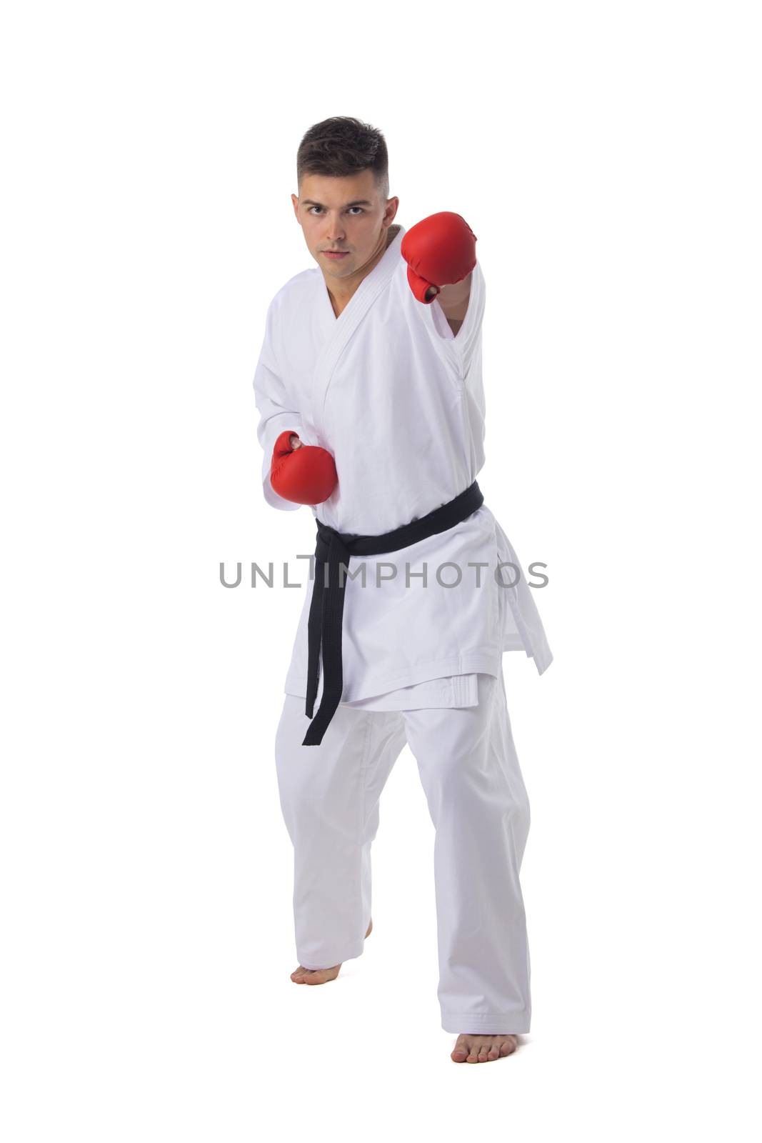 Man training taekwondo on white by ALotOfPeople