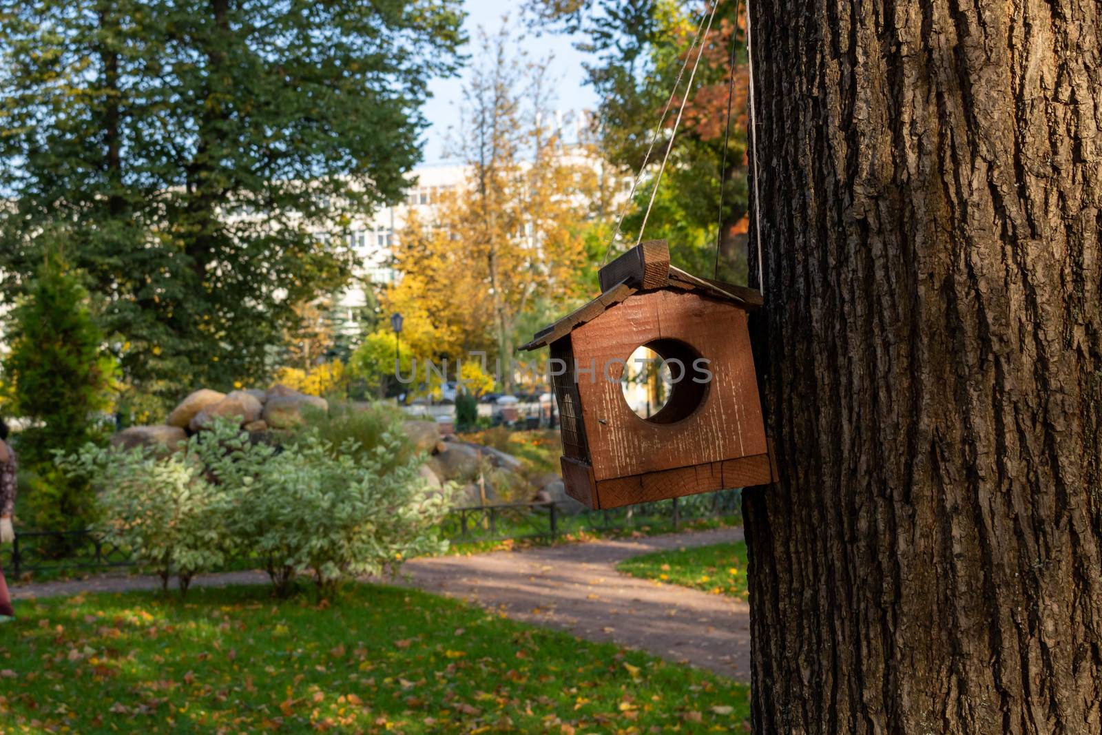 A brown squirrel feeder hangs from a tree in the Park. The concept of the environment.
