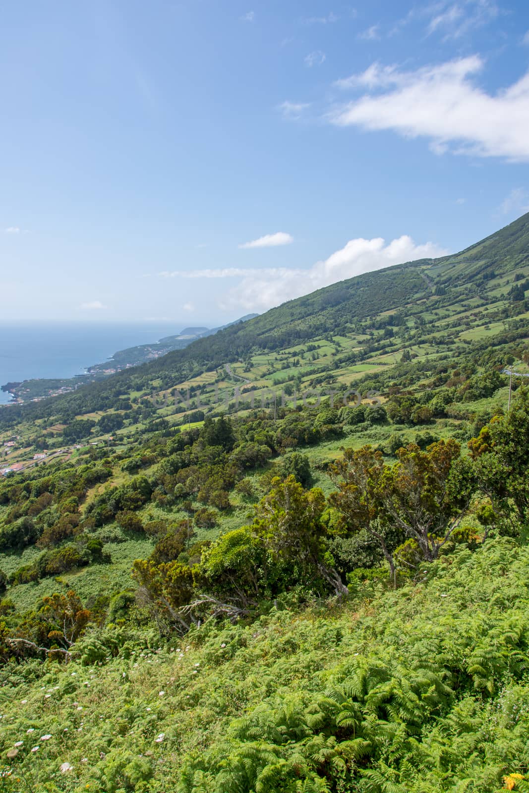 Walk on the Azores archipelago. Discovery of the island of sao jorge, Azores. Portugal , Velas