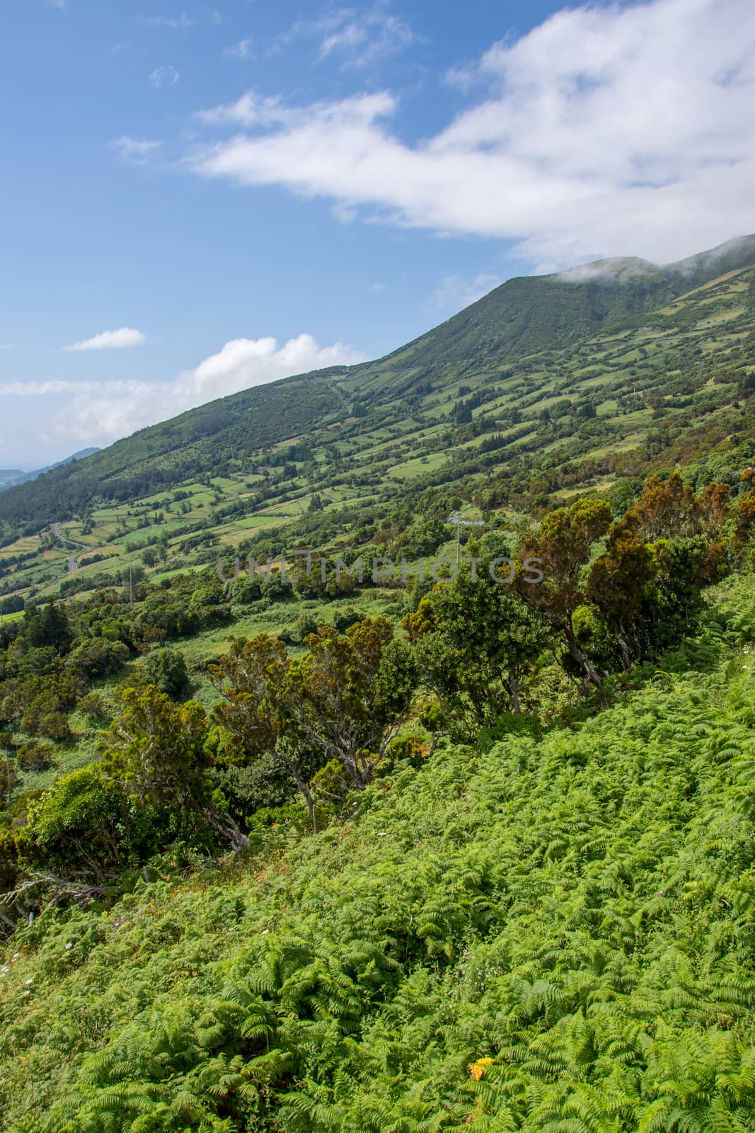 Walk on the Azores archipelago. Discovery of the island of sao jorge, Azores. Portugal , Velas