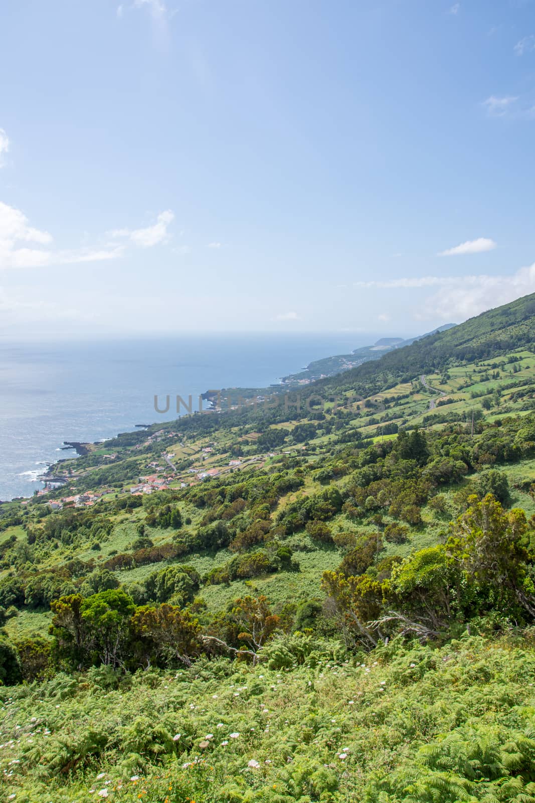 Walk on the Azores archipelago. Discovery of the island of sao jorge, Azores. Portugal , Velas
