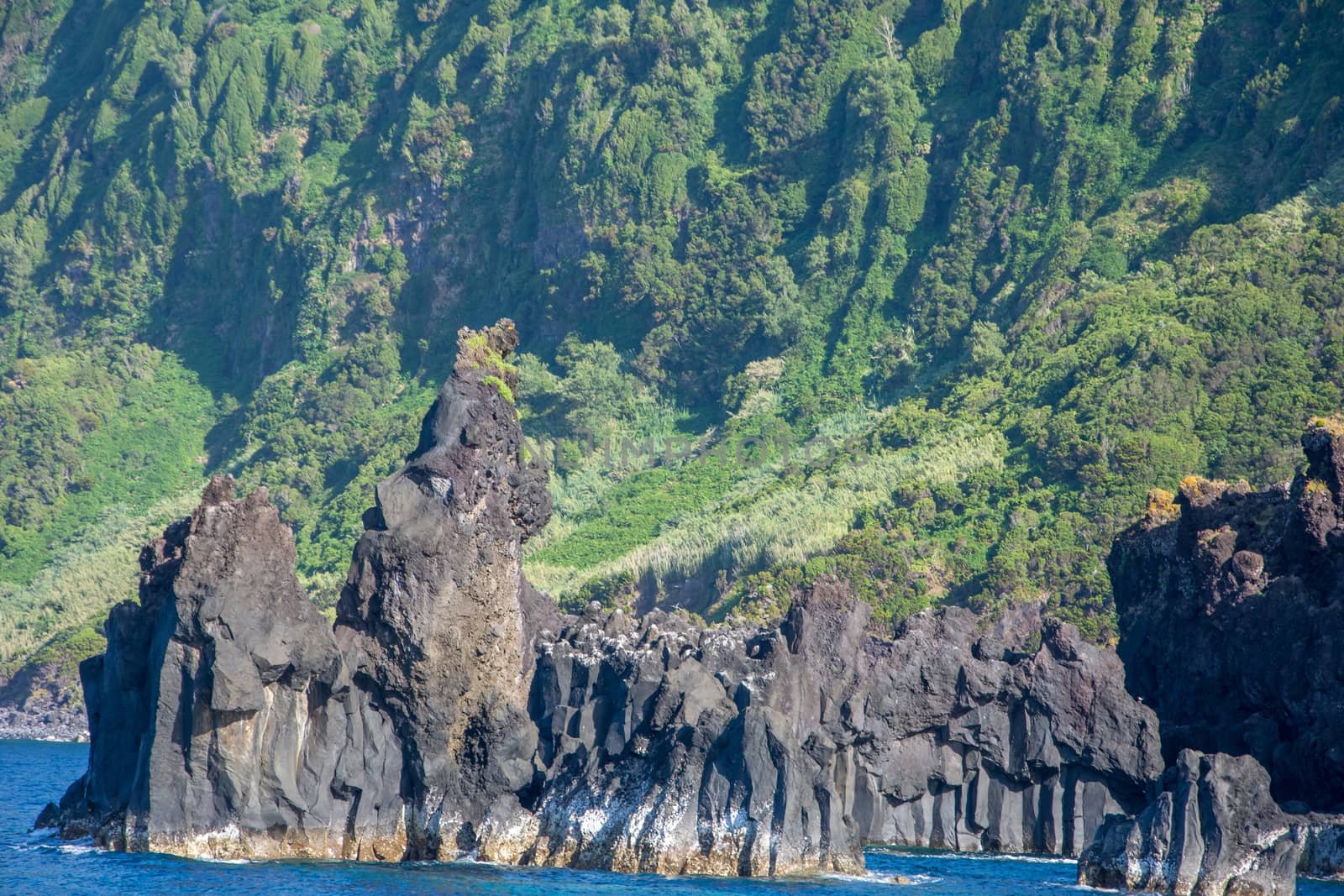 Walk on the Azores archipelago. Discovery of the island of sao jorge, Azores. Portugal , Velas