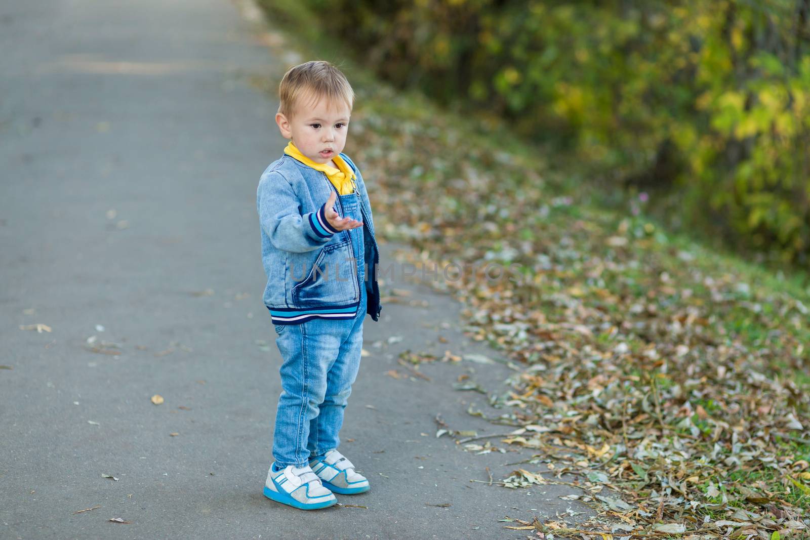 A little boy standing on the path in the in a city park and shows something with his hand with indignation one autumn evening