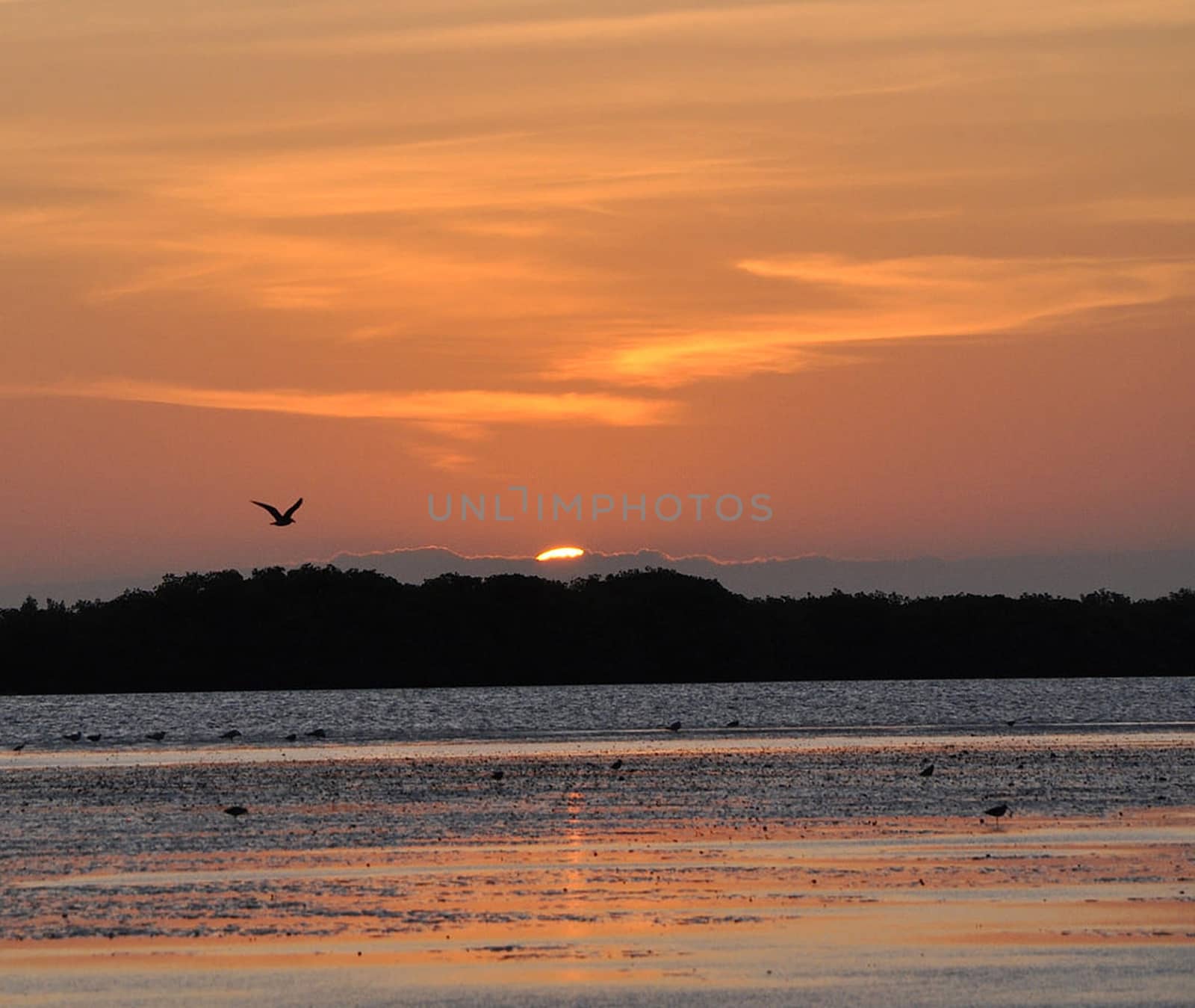 Beautiful pictures of Angola