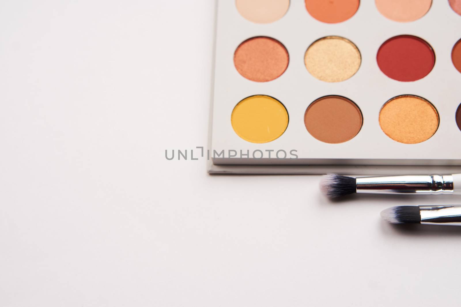 professional eyeshadow on isolated background and makeup brushes cosmetics fashion. High quality photo