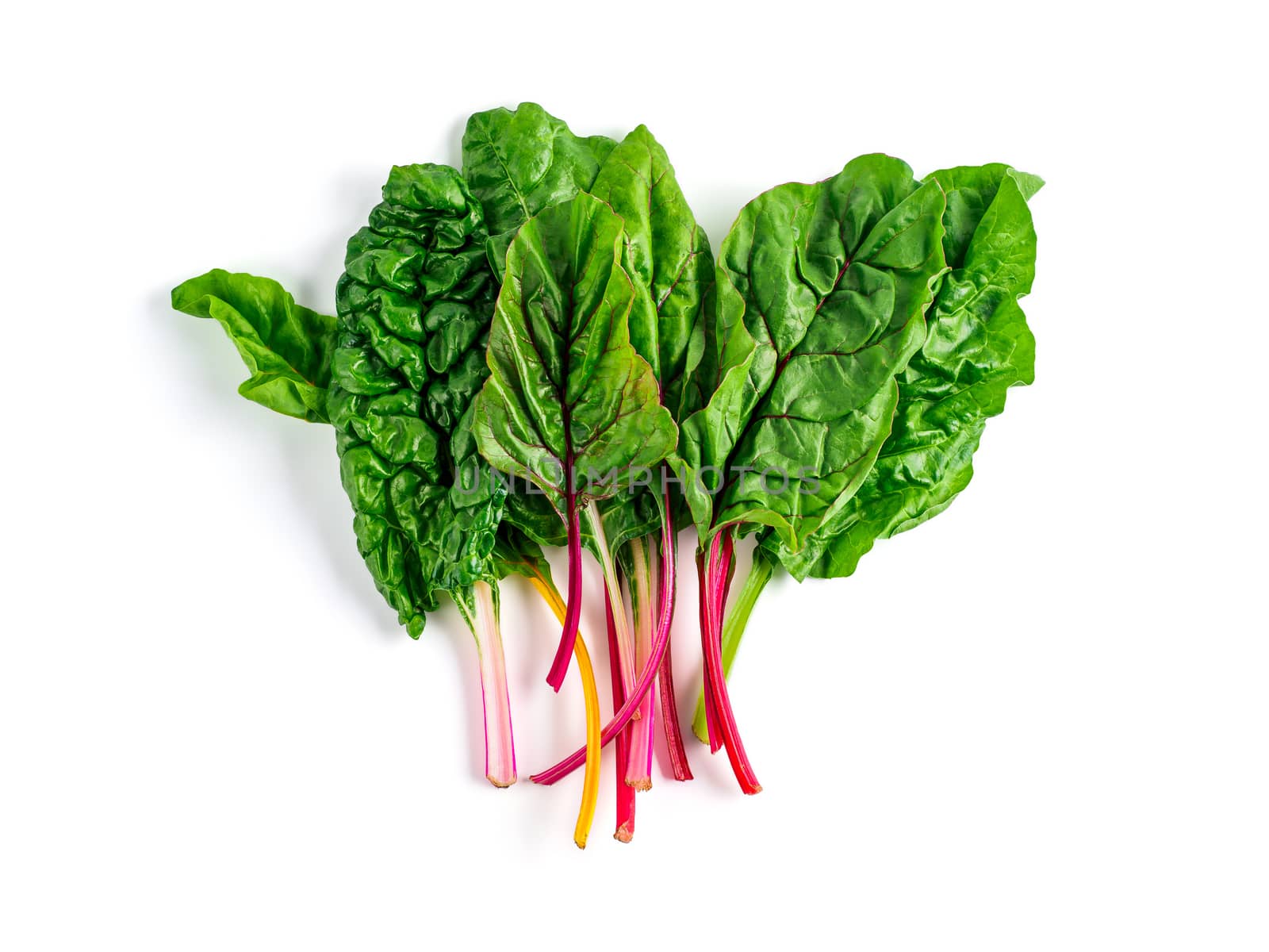 Bunch of swiss chard leafves isolated on white background. Fresh swiss rainbow chard with yellow, red and green colors, top view or flat lay