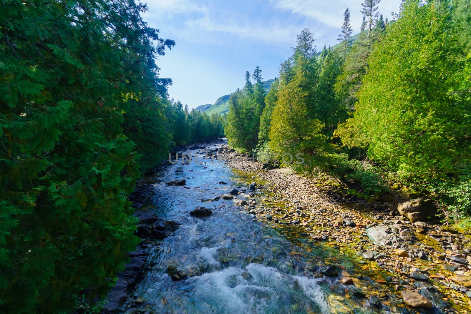 View of the Sainte-Anne-du-Nord River, in Gaspesie National Park, Gaspe Peninsula, Quebec, Canada