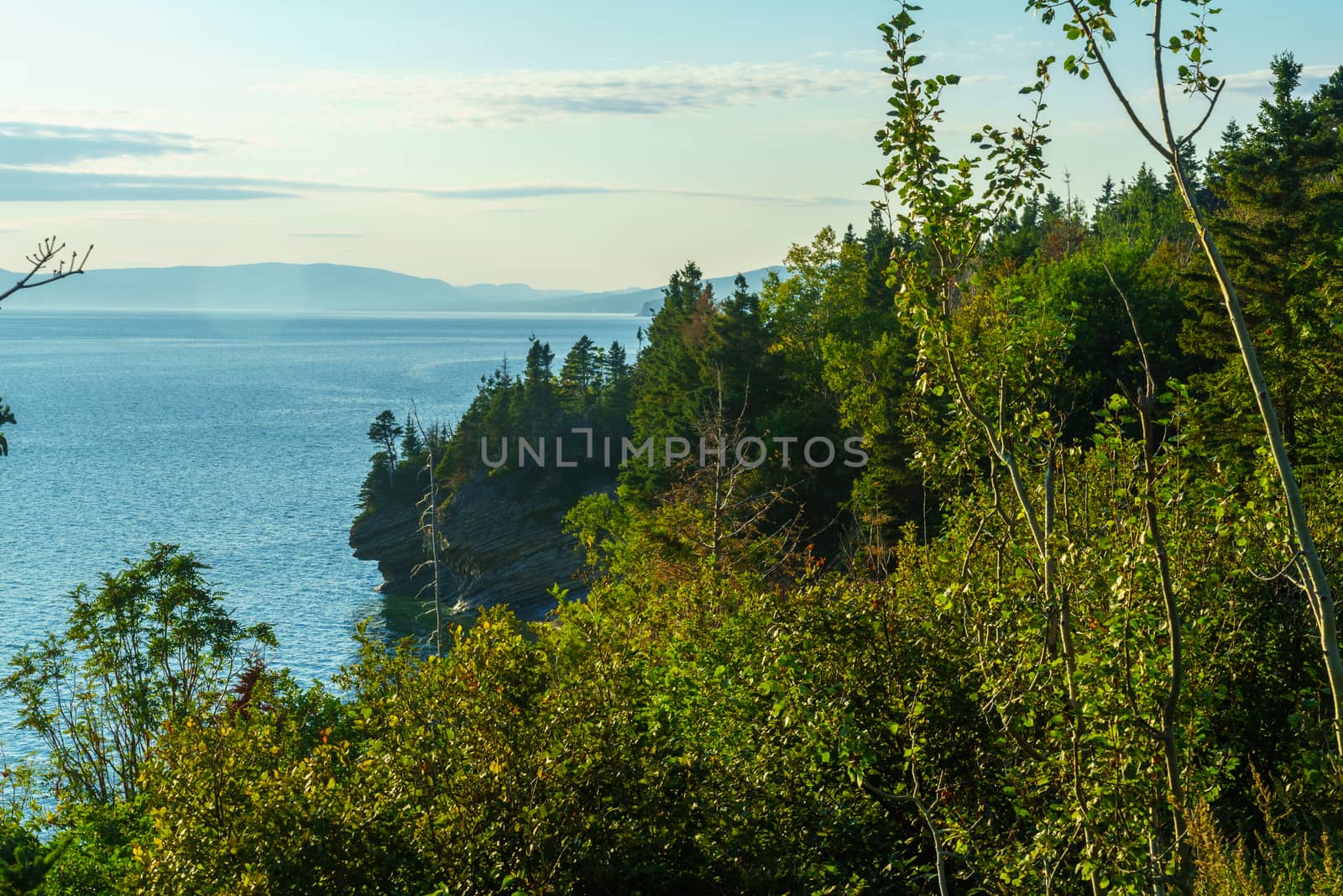 Landscape of forest and ocean in the south sector of Forillon National Park, Gaspe Peninsula, Quebec, Canada