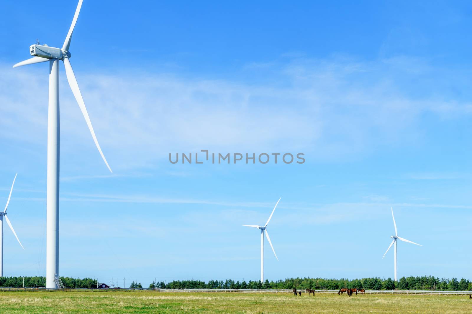 Wind turbines in the North Cape, PEI by RnDmS