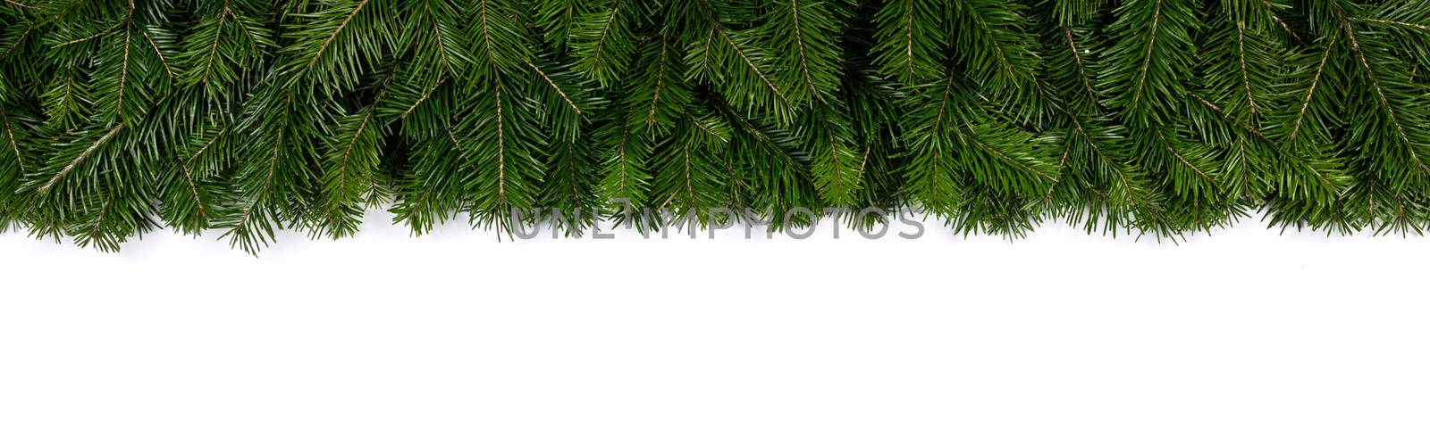 Christmas fir tree branch border fame isolated on white background with copy space for text