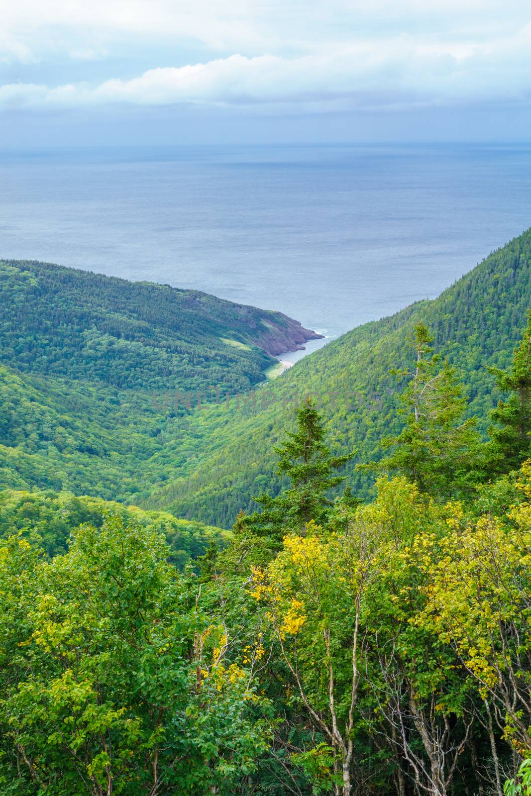 Landscape of the Fishing Cove, along the Cabot Trail by RnDmS