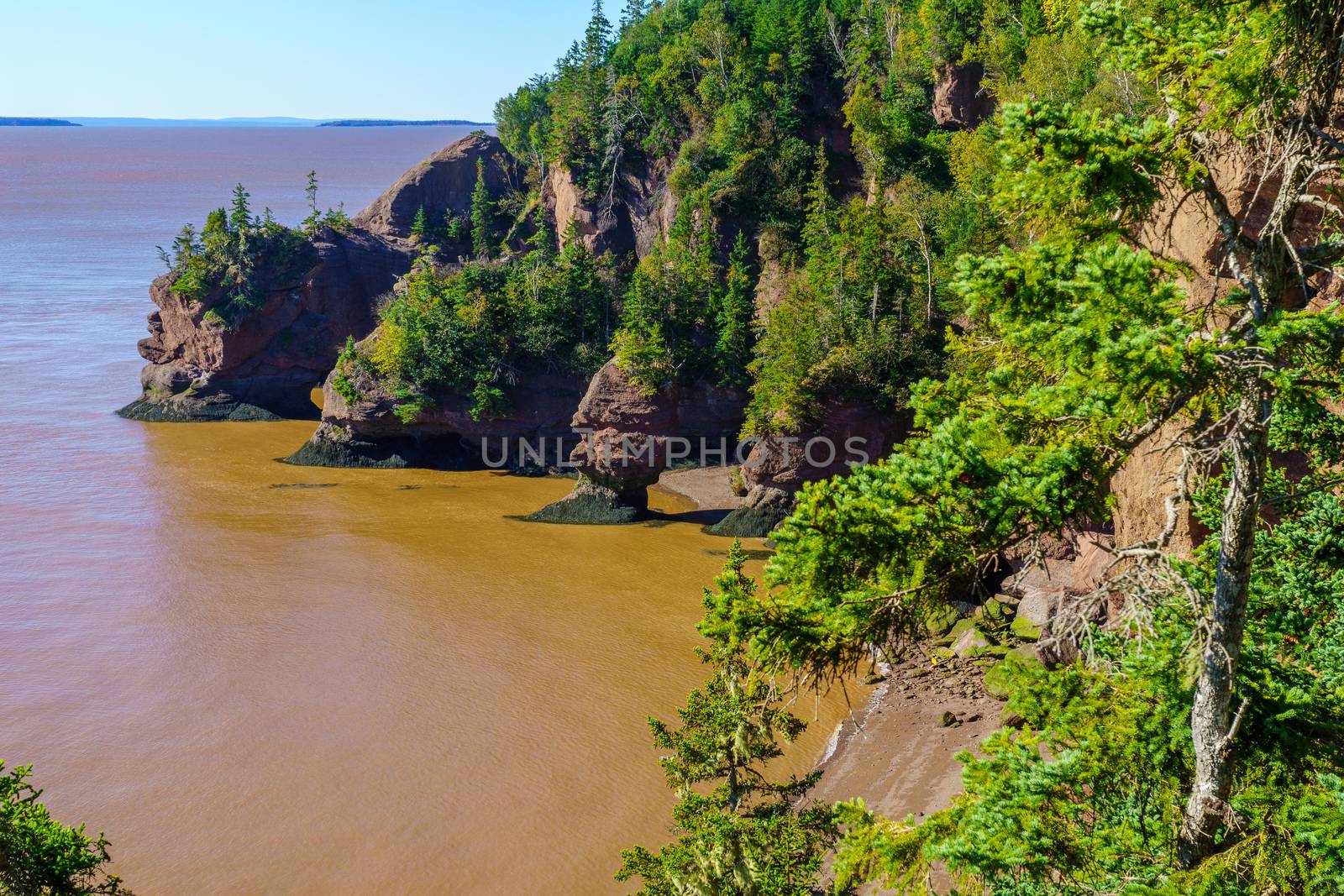 View of tide rising in Hopewell Rocks, New Brunswick, Canada