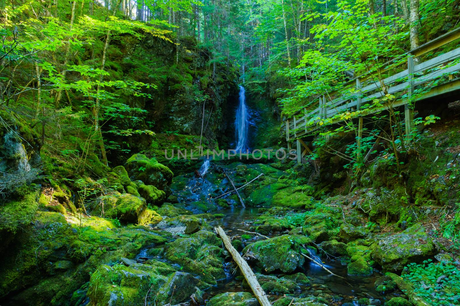 Dickson Falls trail, in Fundy National Park by RnDmS