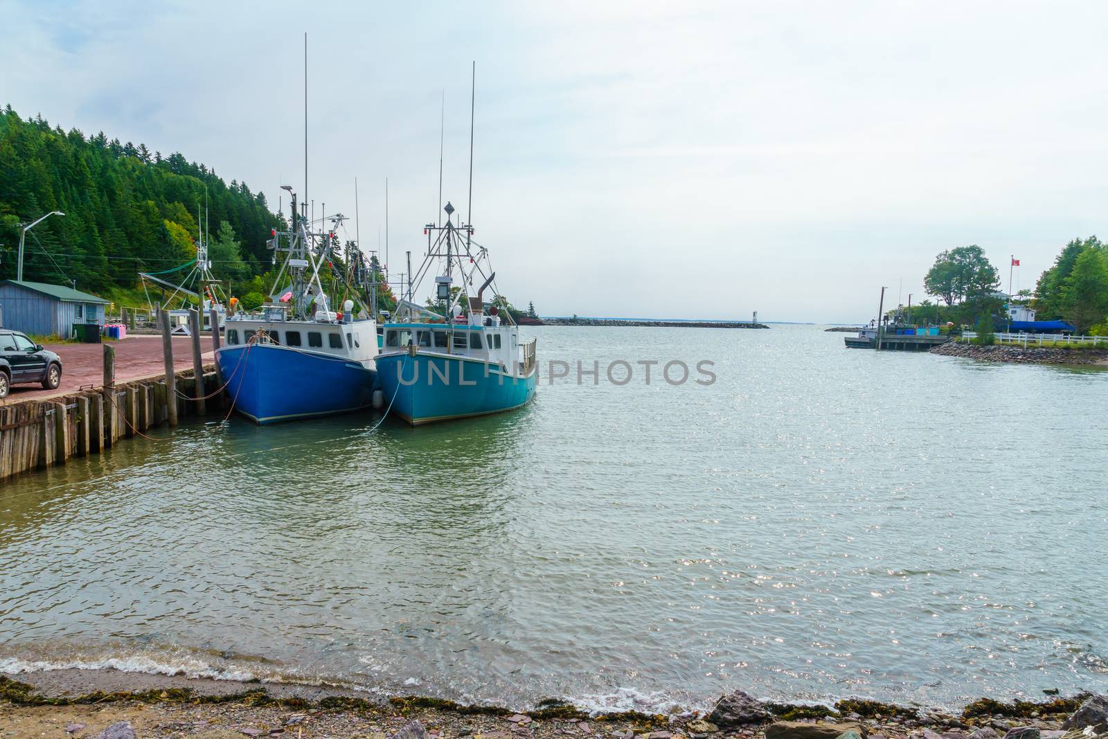 Harbor at high tide, in St. Martins by RnDmS