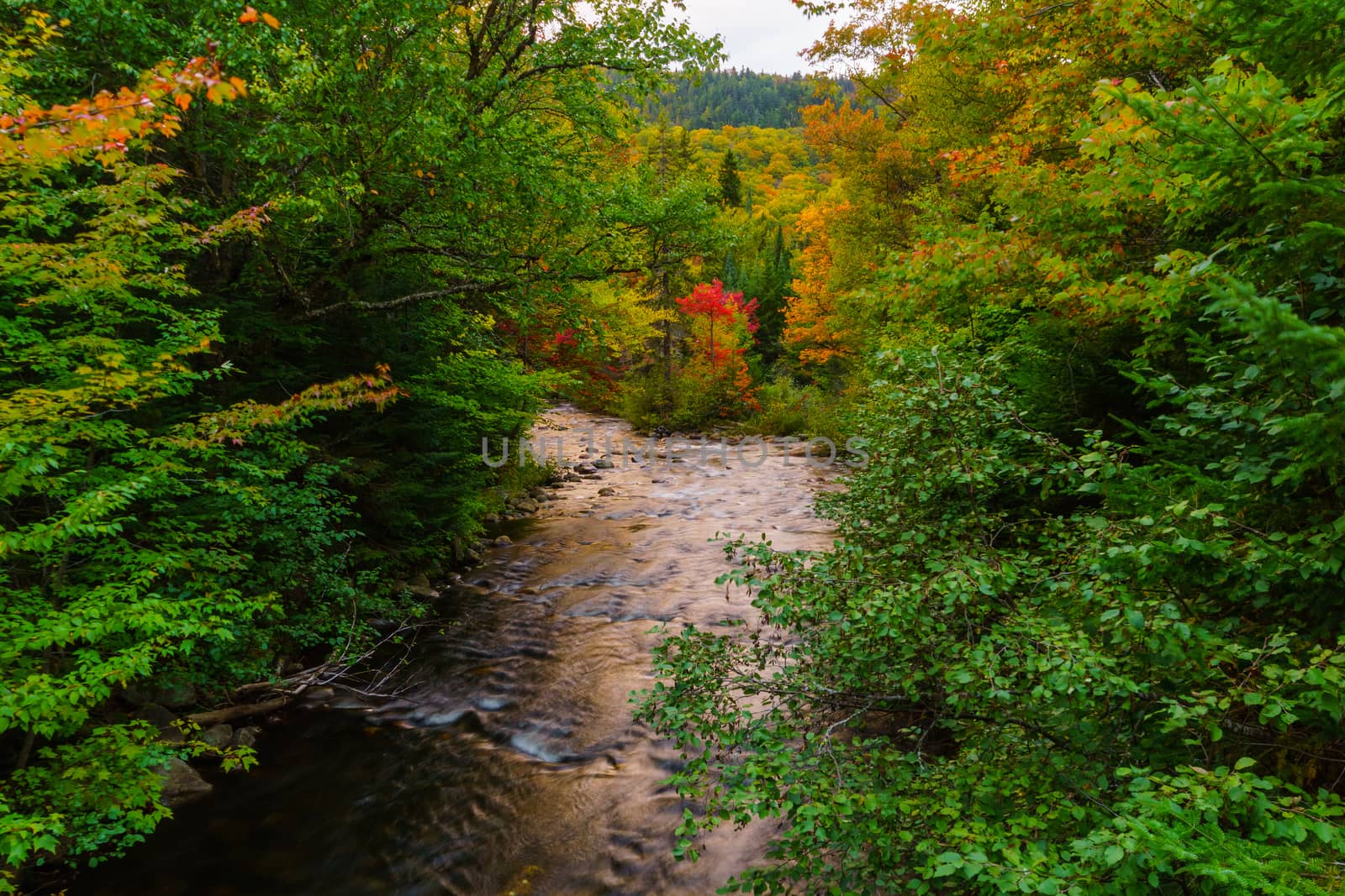 Diable (Devil) River, in Mont Tremblant National Park by RnDmS