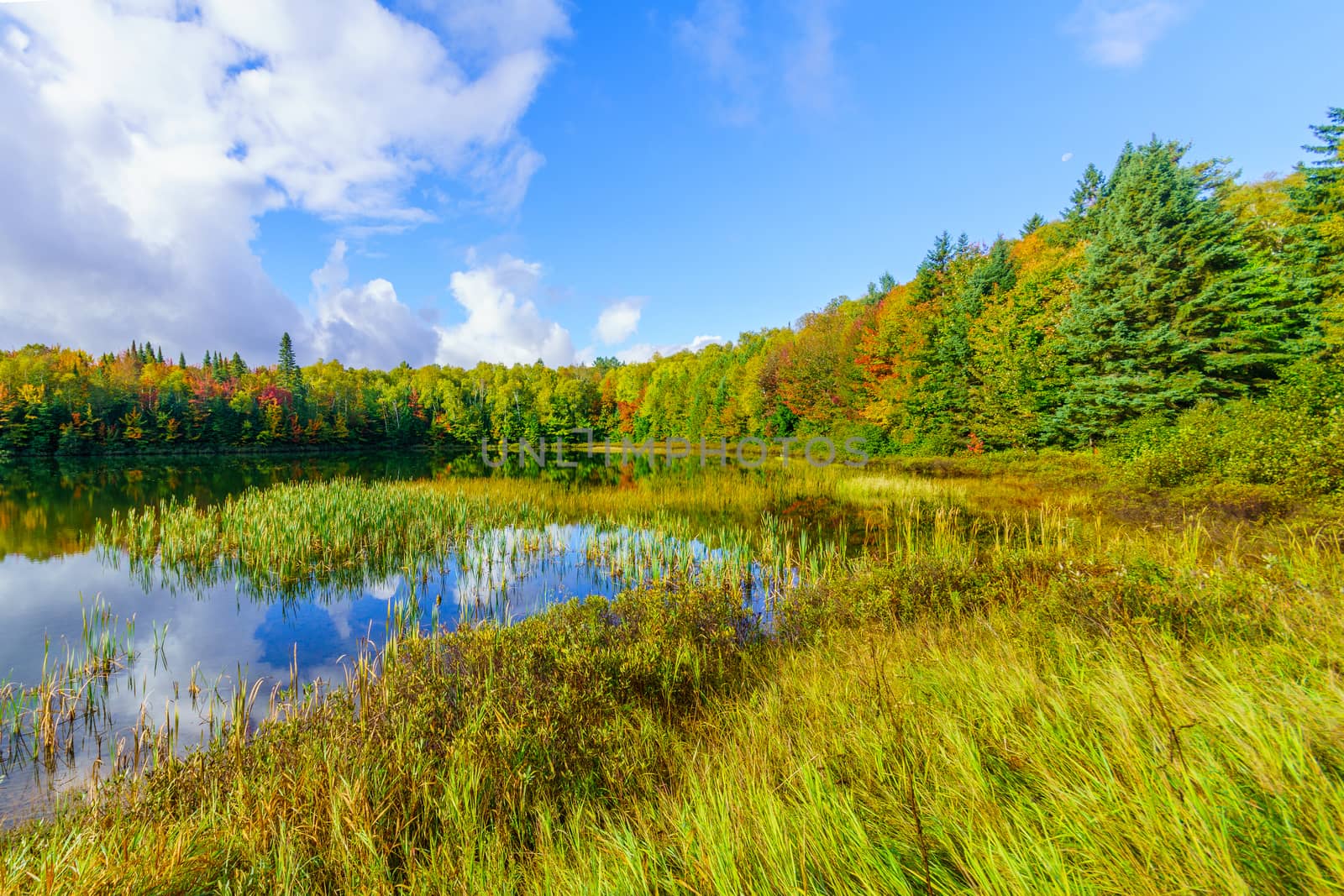 Lac Coutu, with fall foliage colors in Saint-Donat, Laurentian M by RnDmS