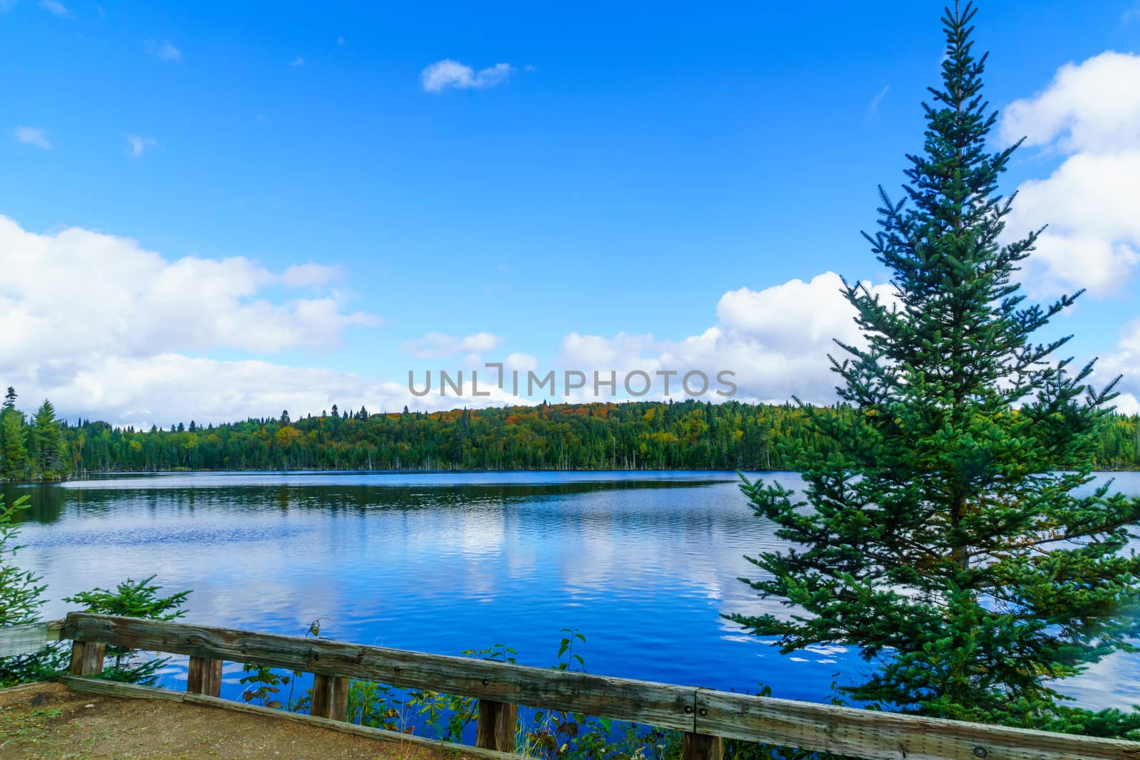 View of Lac-des-Dix-Milles lake, in Mont Tremblant National Park, Quebec, Canada